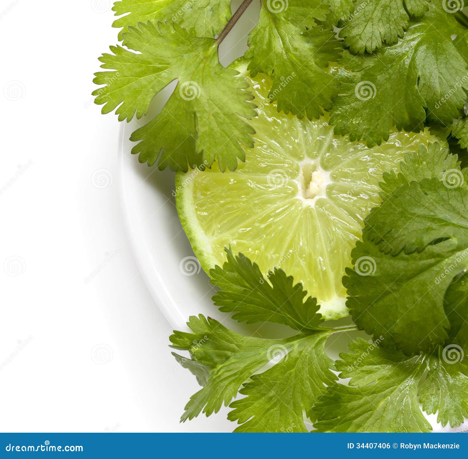 Lime And Cilantro Or Coriander Royalty Free Stock Image Image 34407406