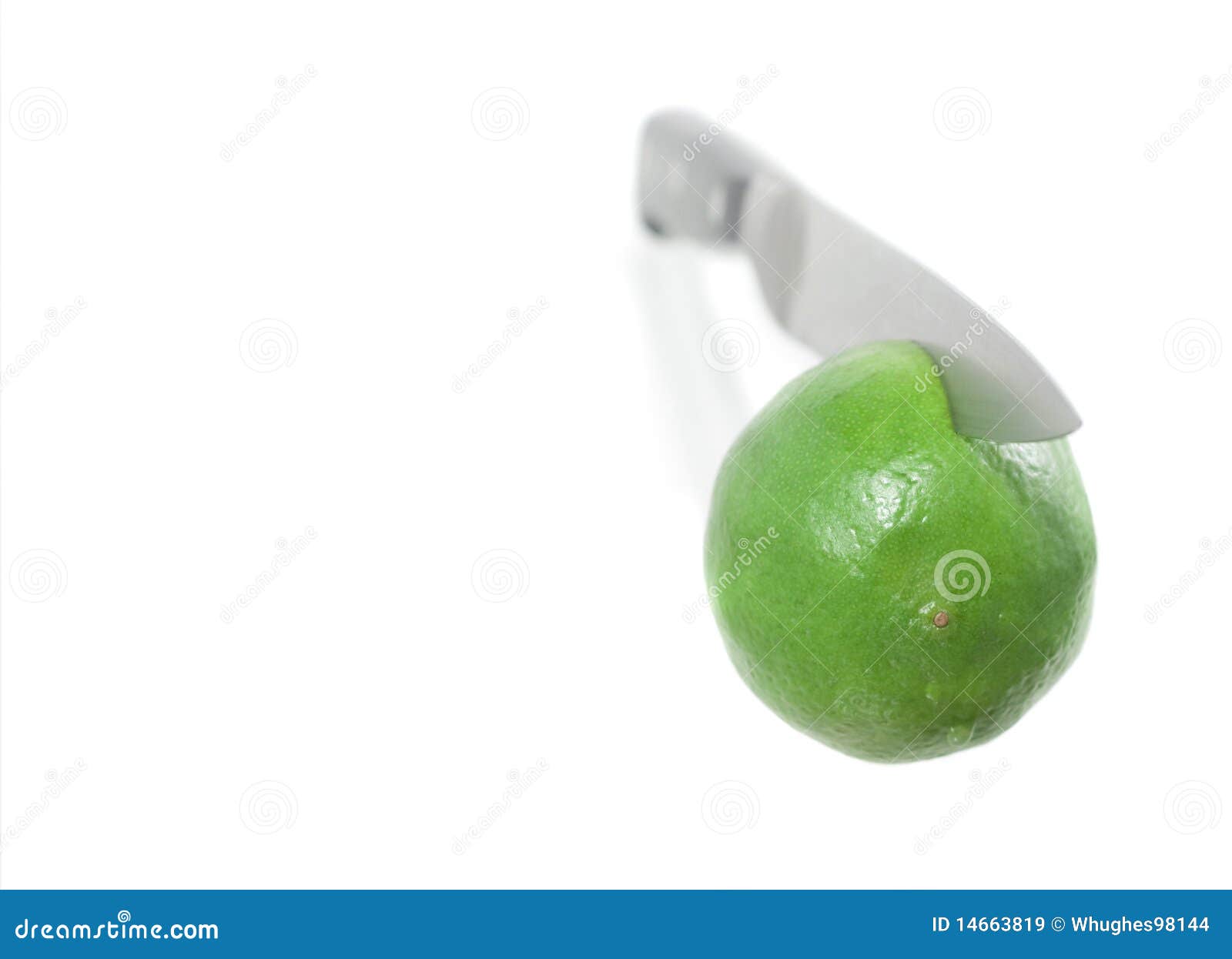 A Lime Cut by a Chefs Knife Stock Image Image of single, knife 14663819