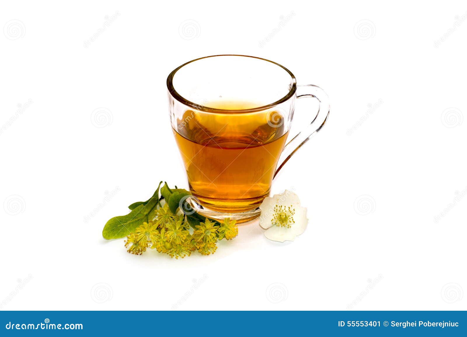 The lime flower tea stock image. Image of cultures, branch 55553401