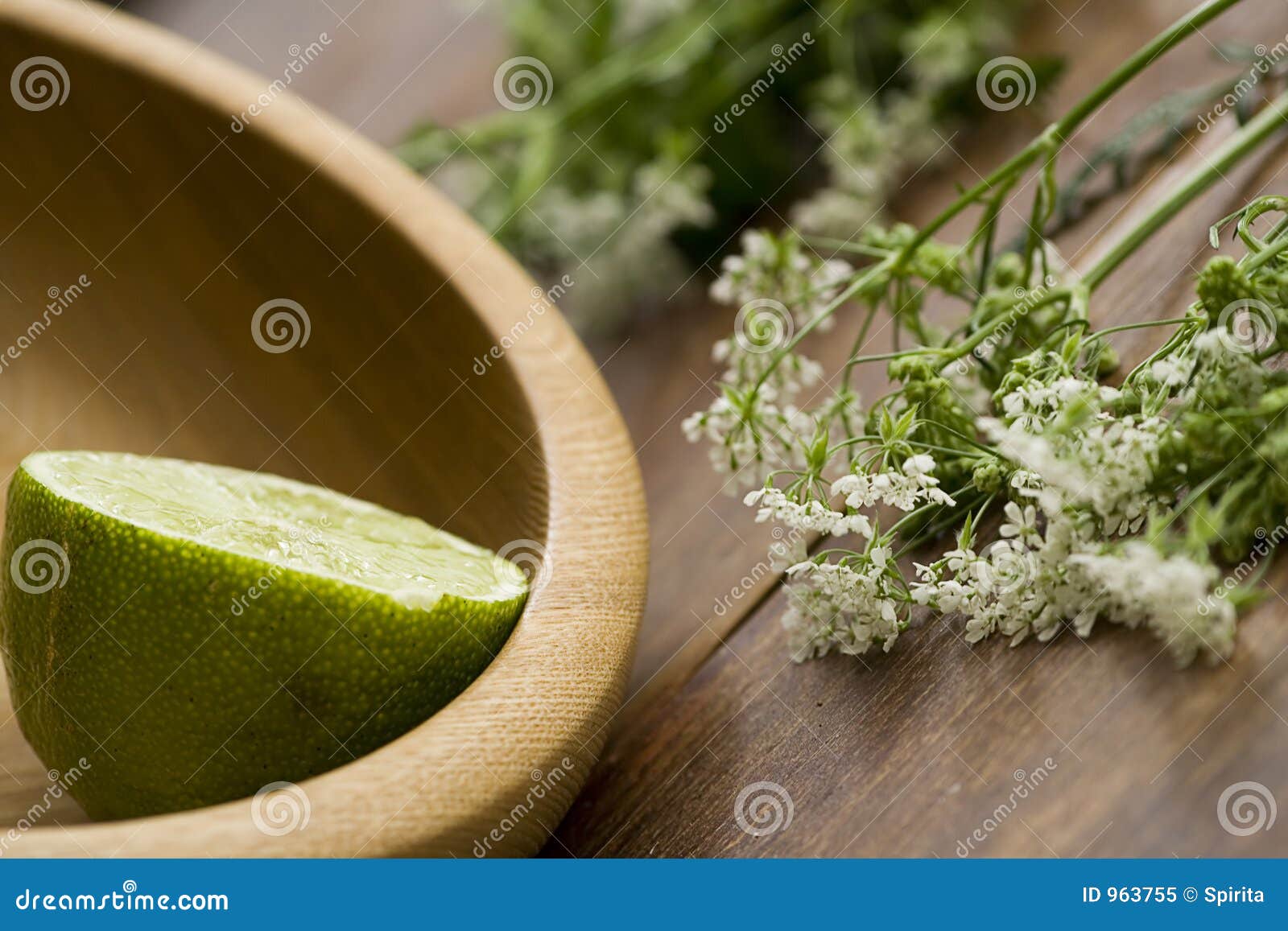 Lime and flowers stock image. Image of green, limes, white 963755