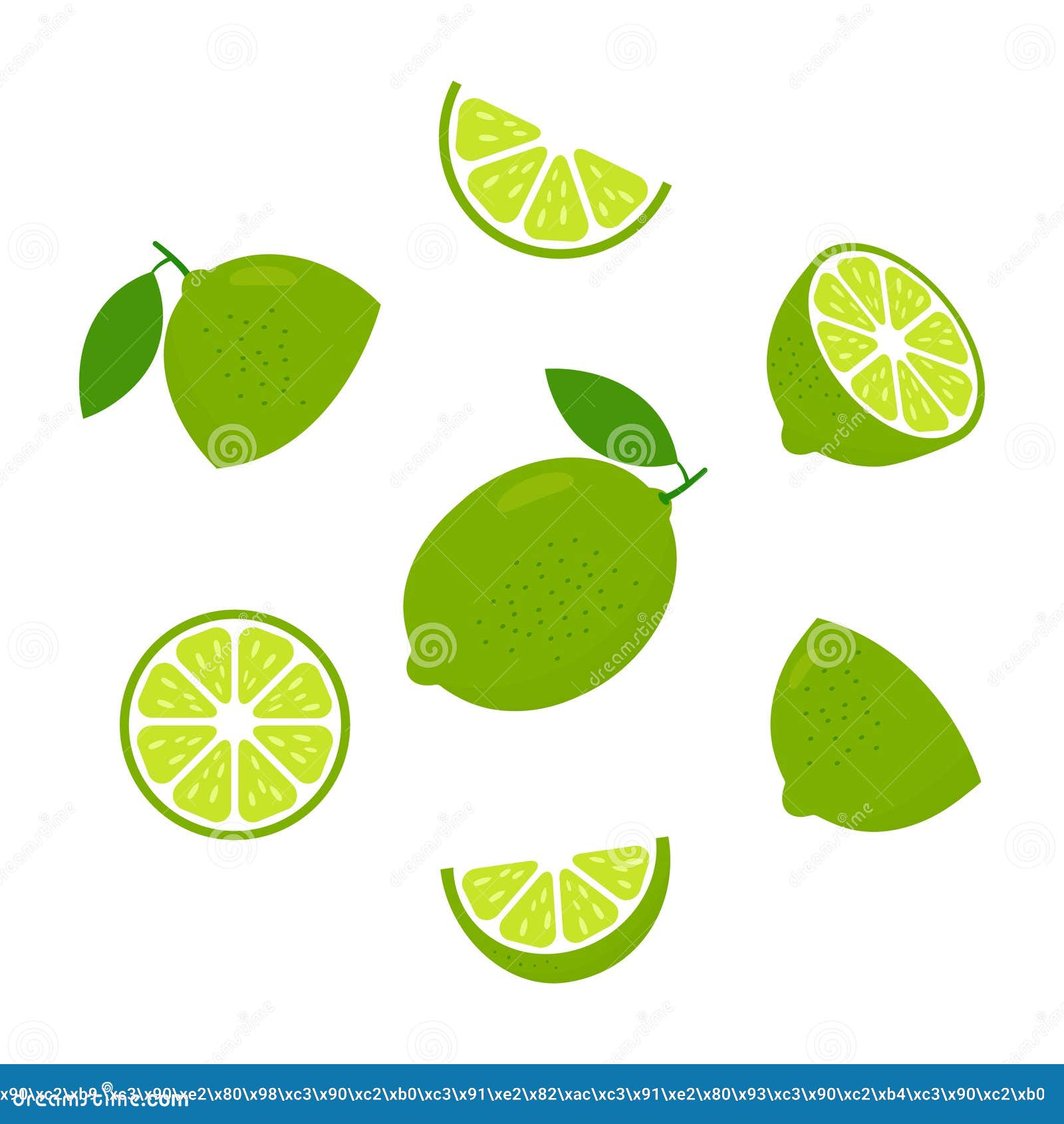 lime fresh slices icon set. healthy food group concept. citrus vitamin c  