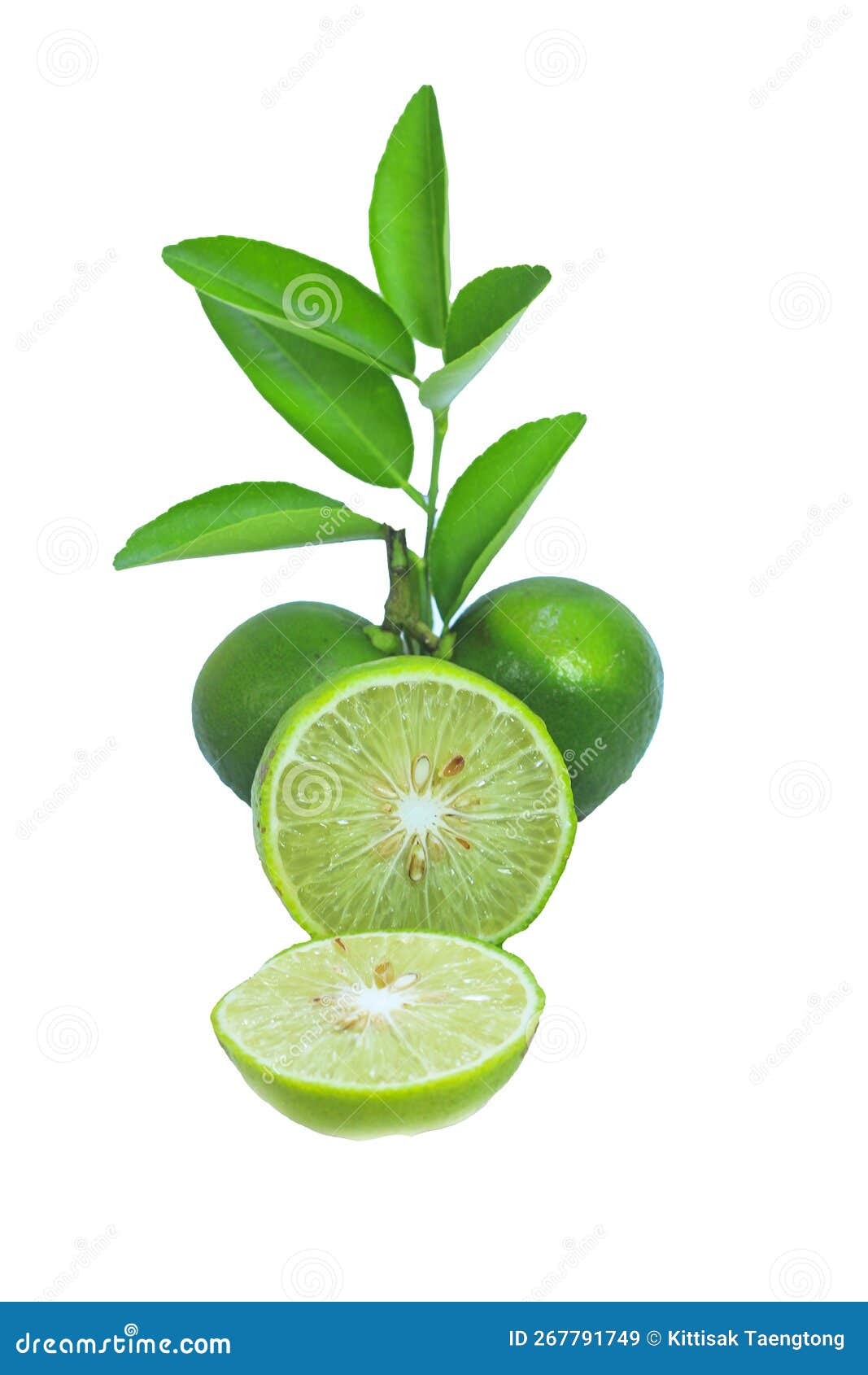 Lime Fruits with Green Leaf and Cut in Half Slice Isolated with