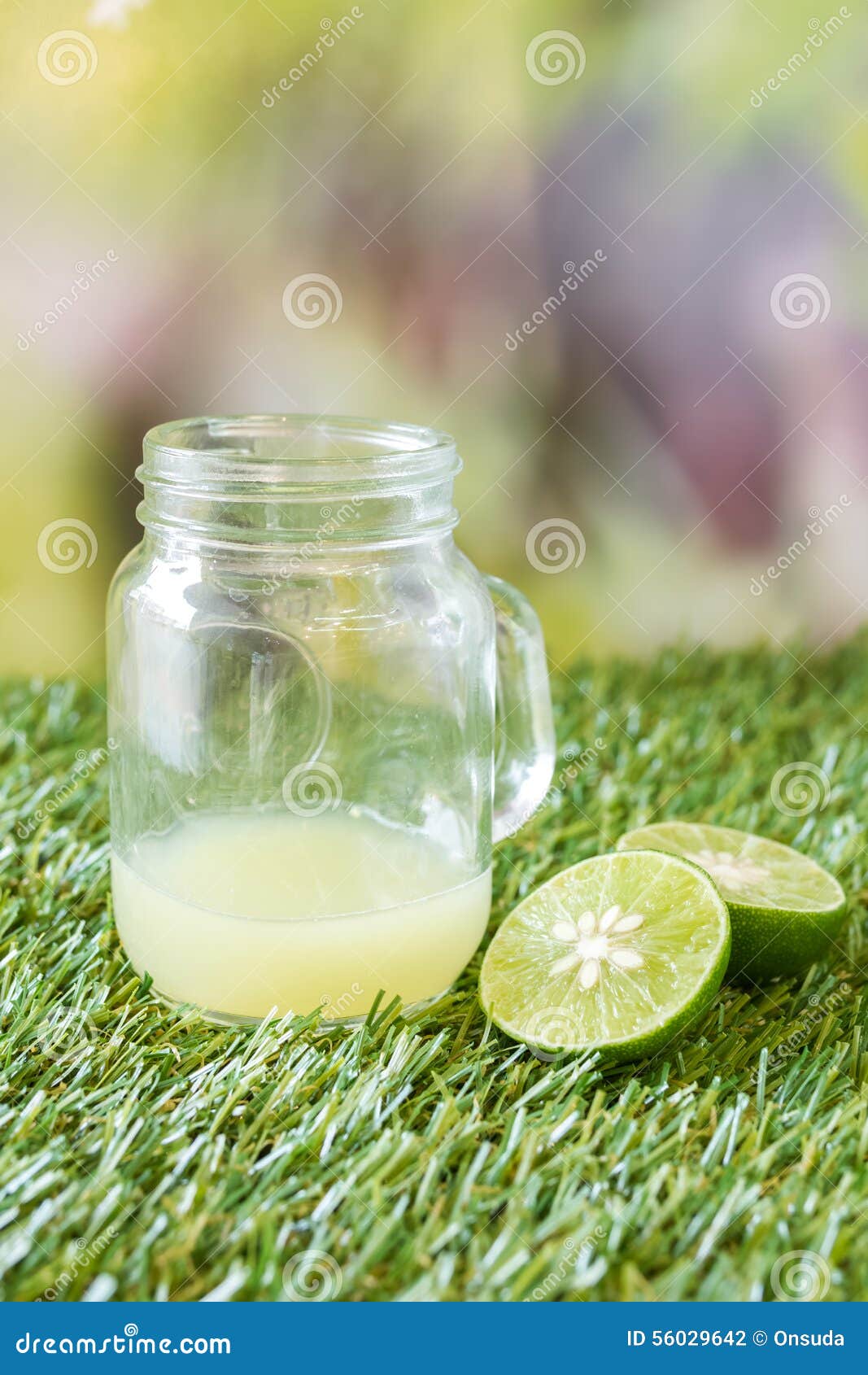 Lime on grass stock photo. Image of garden, slice, juice 56029642