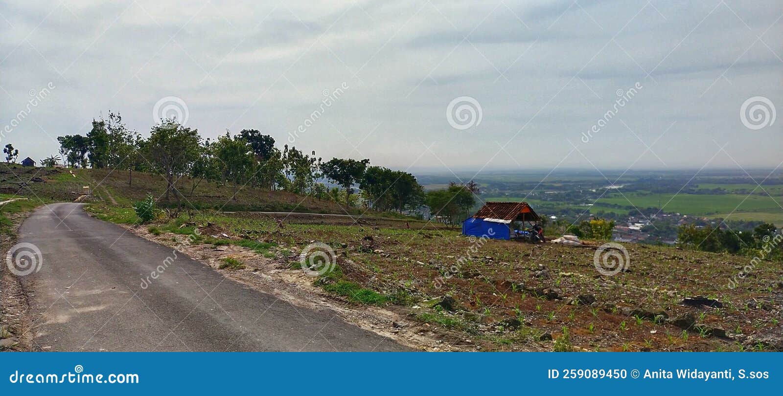 lime hill landscape