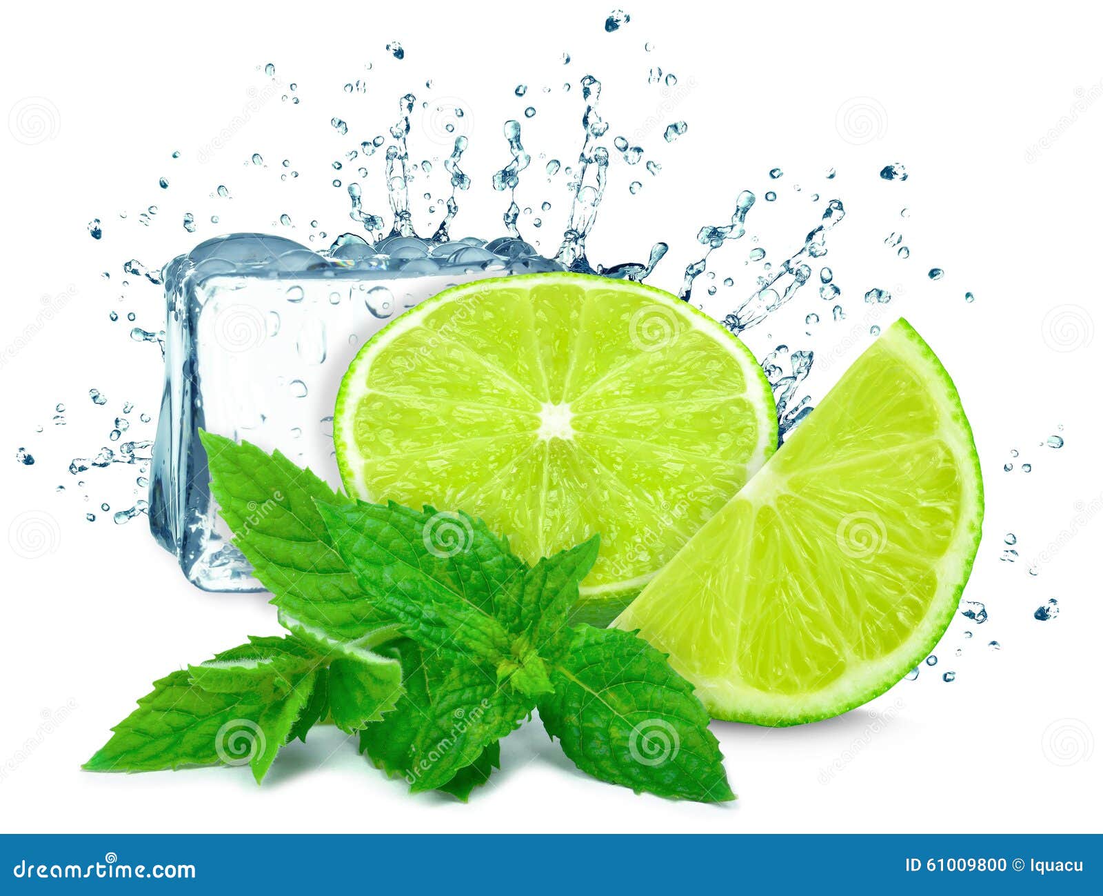 Lime and mint stock photo. Image of cocktail, white, lemon 61009800