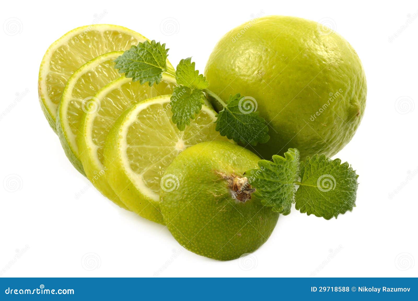 Lime and mint leaves stock photo. Image of white, single 29718588
