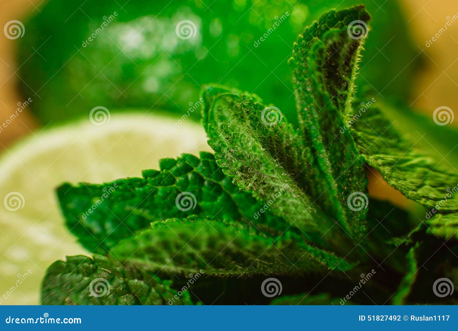 Lime and Mint on Wooden Background Stock Photo Image of melissa