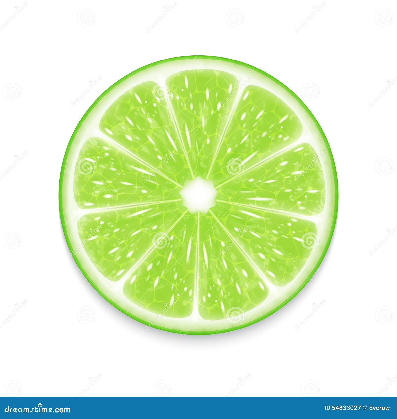 Lime slice stock vector. Illustration of nature, refreshment 54833027