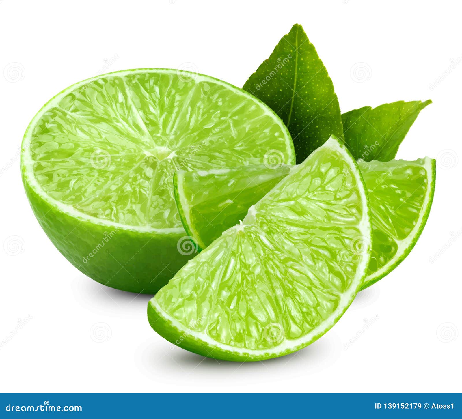 Lime vector illustration stock vector. Illustration of fruit 139152179