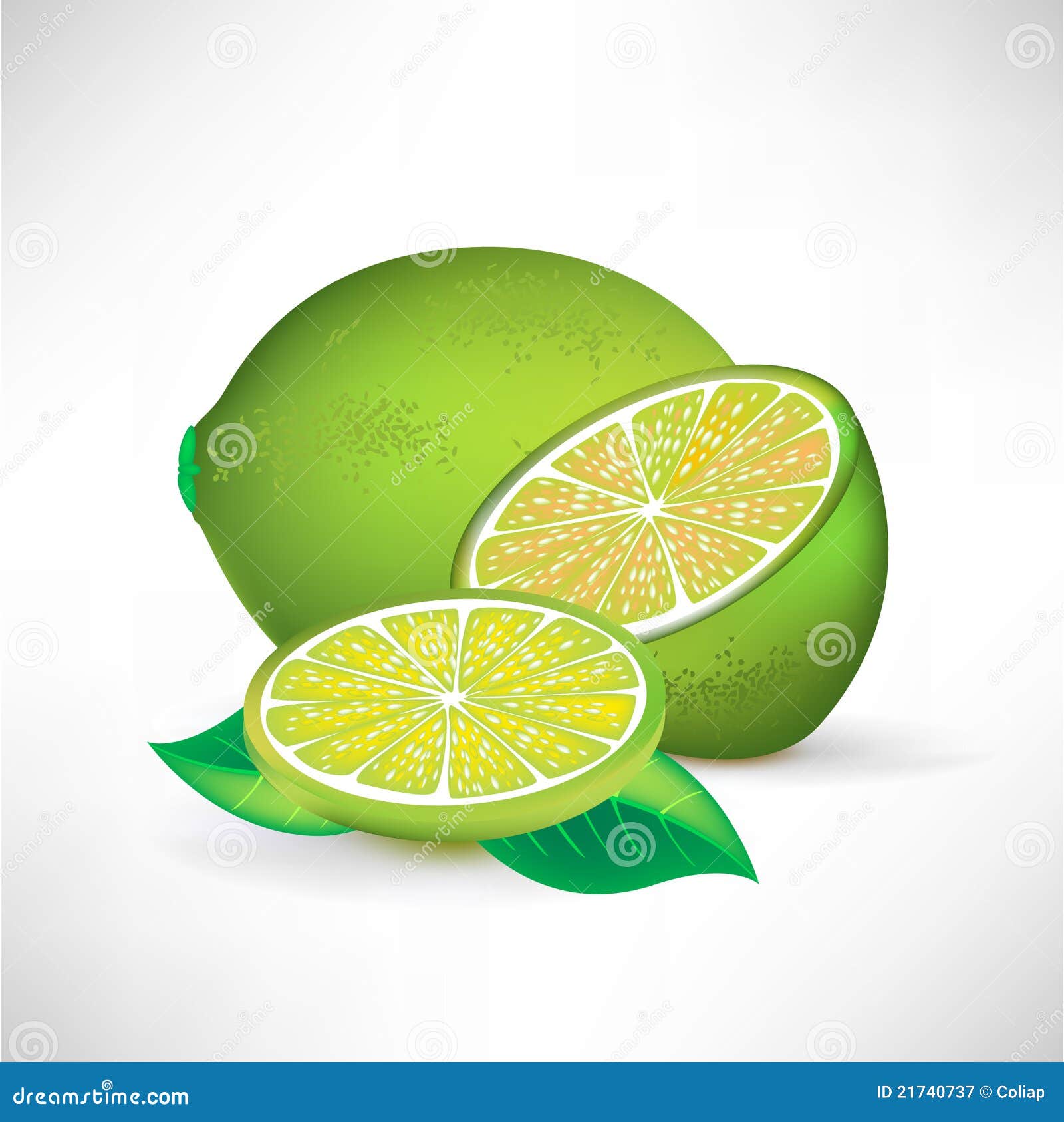 Lime whole half and slice stock vector. Illustration of mesh 21740737