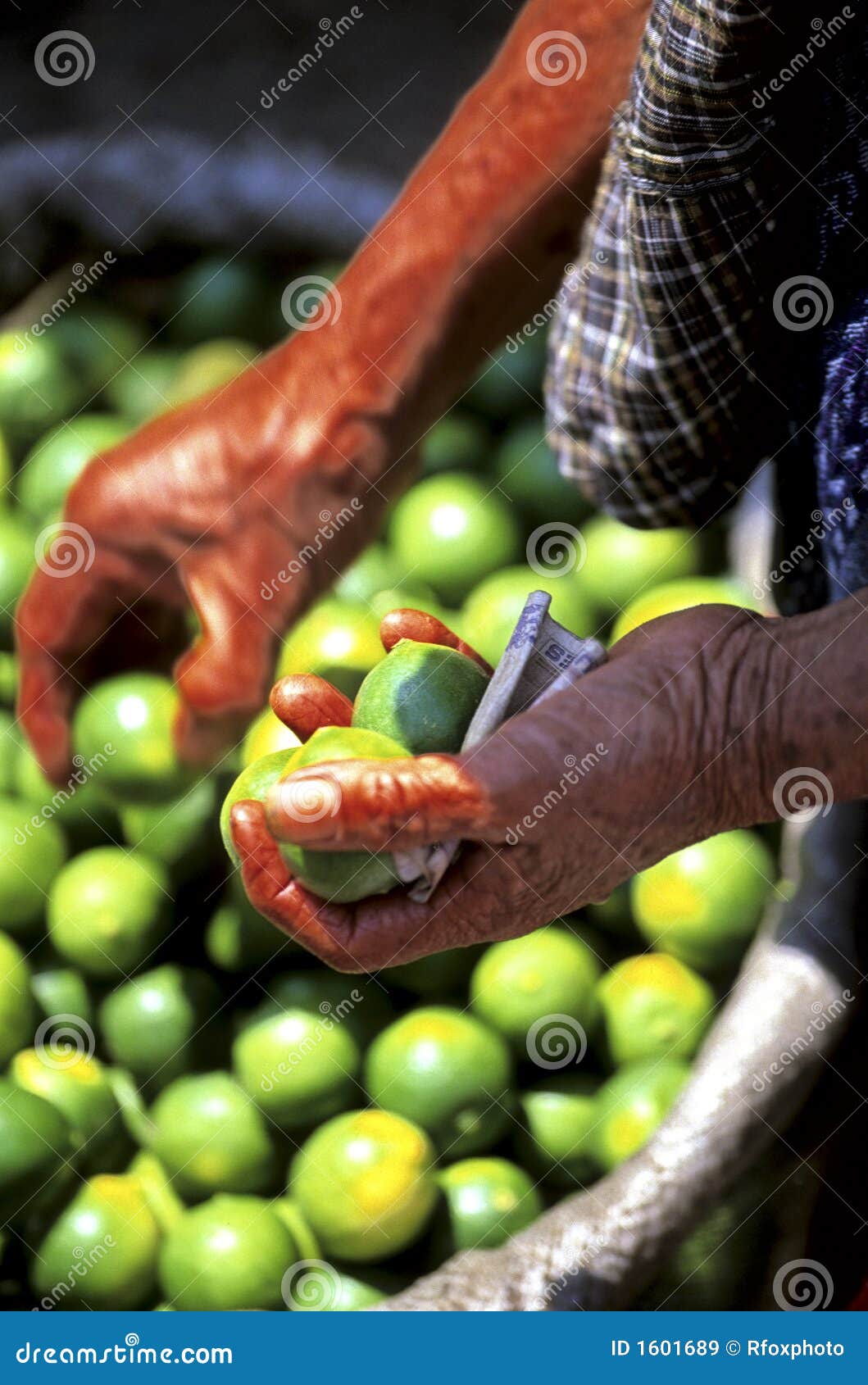 limes- guatemala