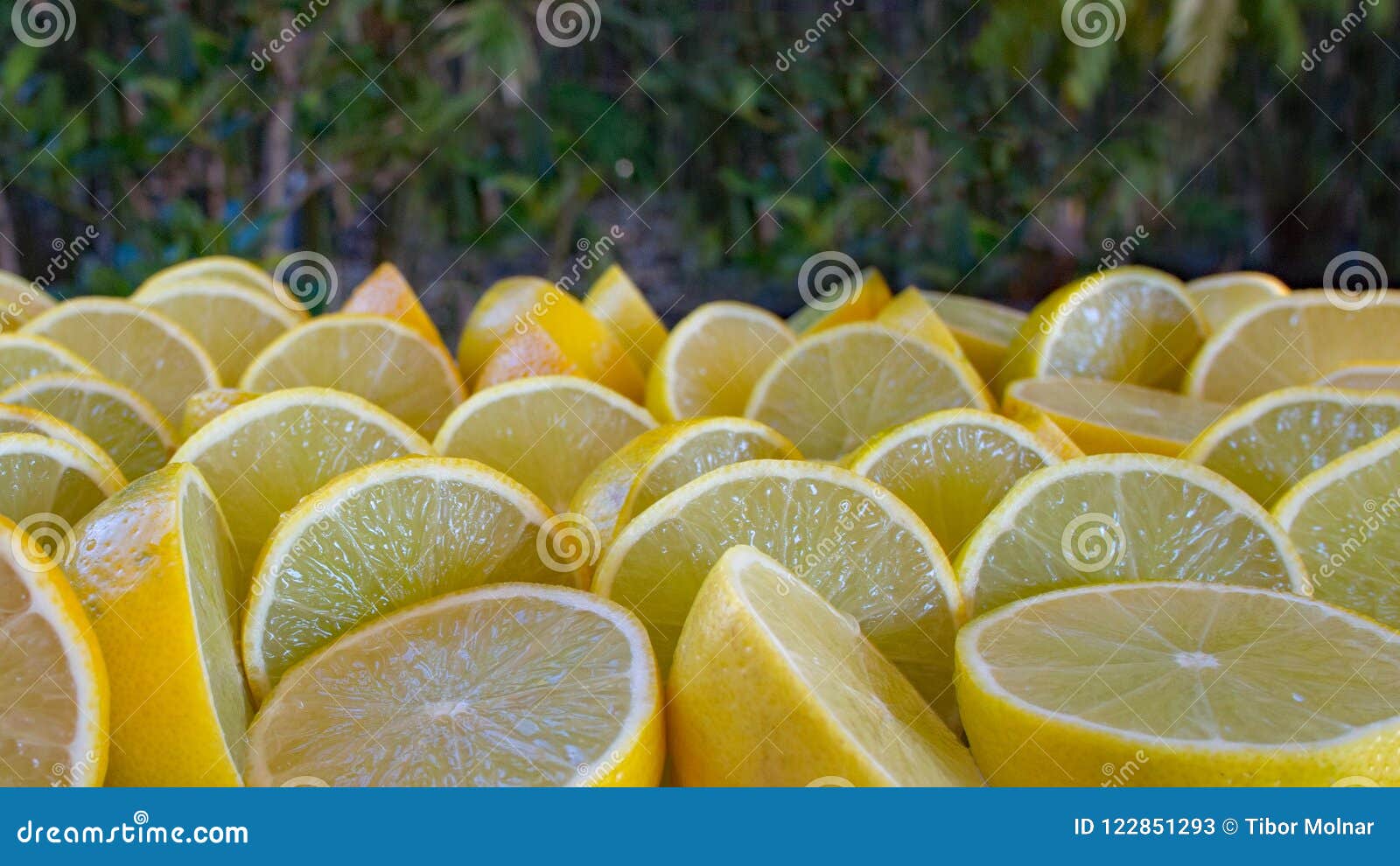 Limes Lot View Limes Cut in Half Lots of Them Wide Image Stock Image