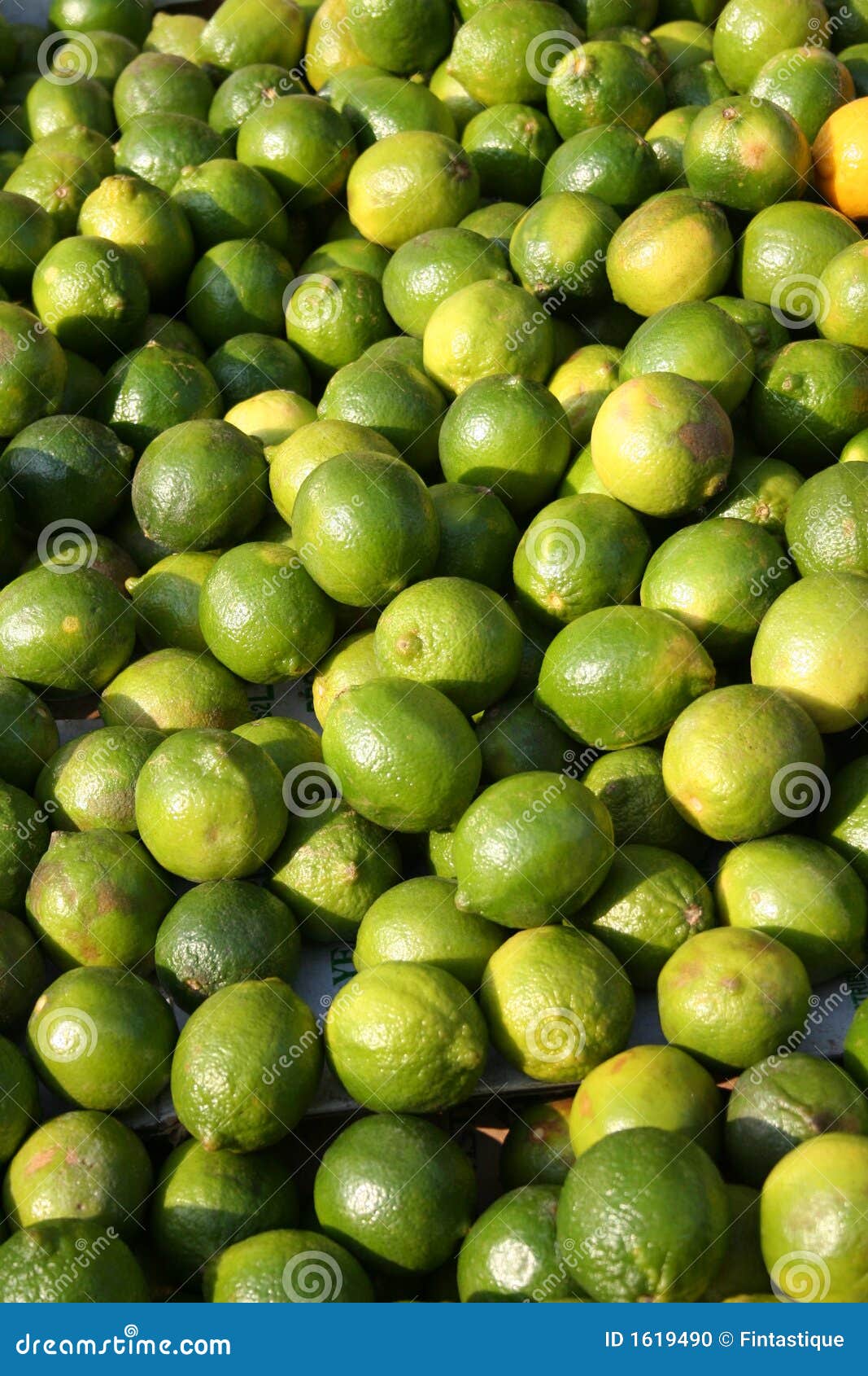 Limes at a market stall stock photo. Image of stall, ingredients 1619490