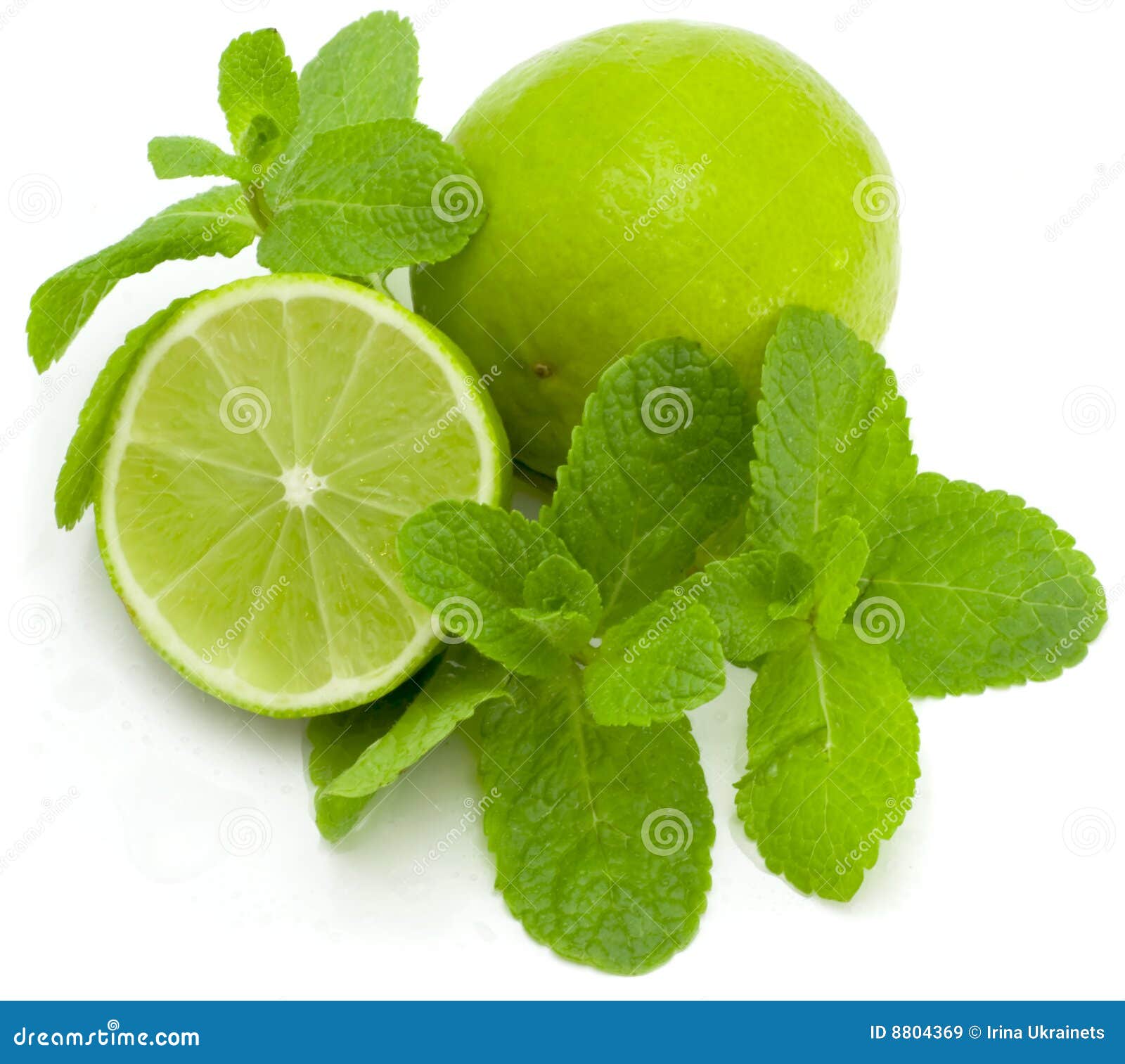 Limes and mint stock image. Image of citrus, backgrounds 8804369
