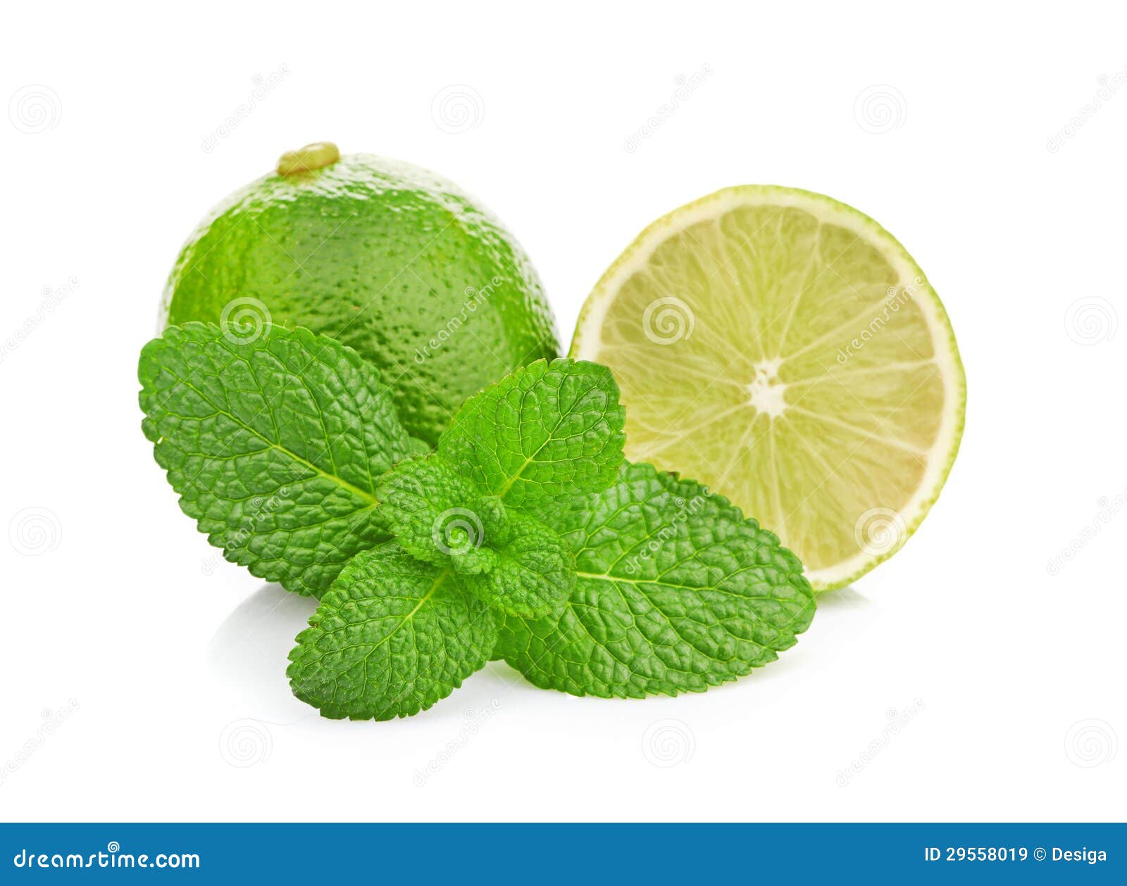 Limes and Mint Isolated on White Background Stock Image Image of