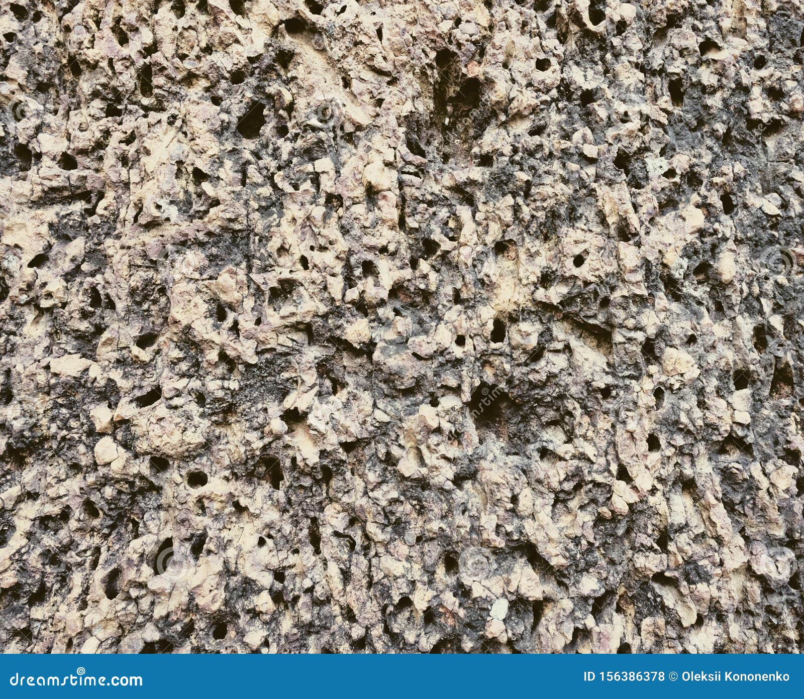 Limestone As Background. Porous Stone Stock Photo Image of mollusk