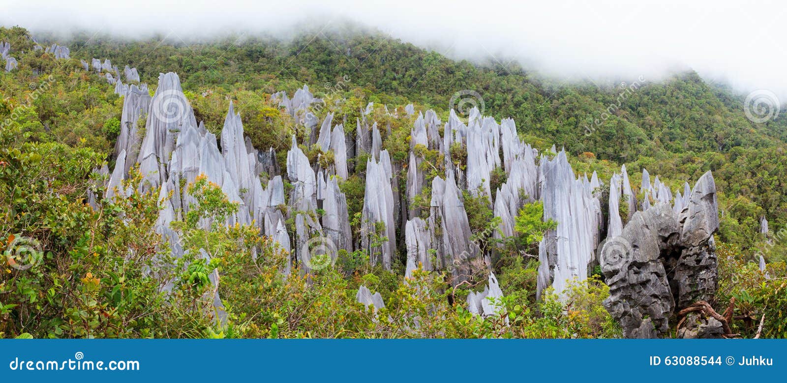 limestone pinnacles at gunung mulu national park