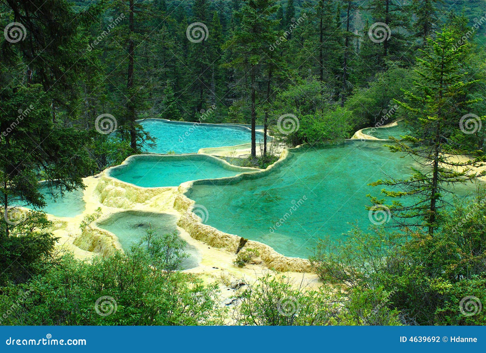 Limestone Pools in Huanglong Stock Photo Image of heritage, tree 4639692