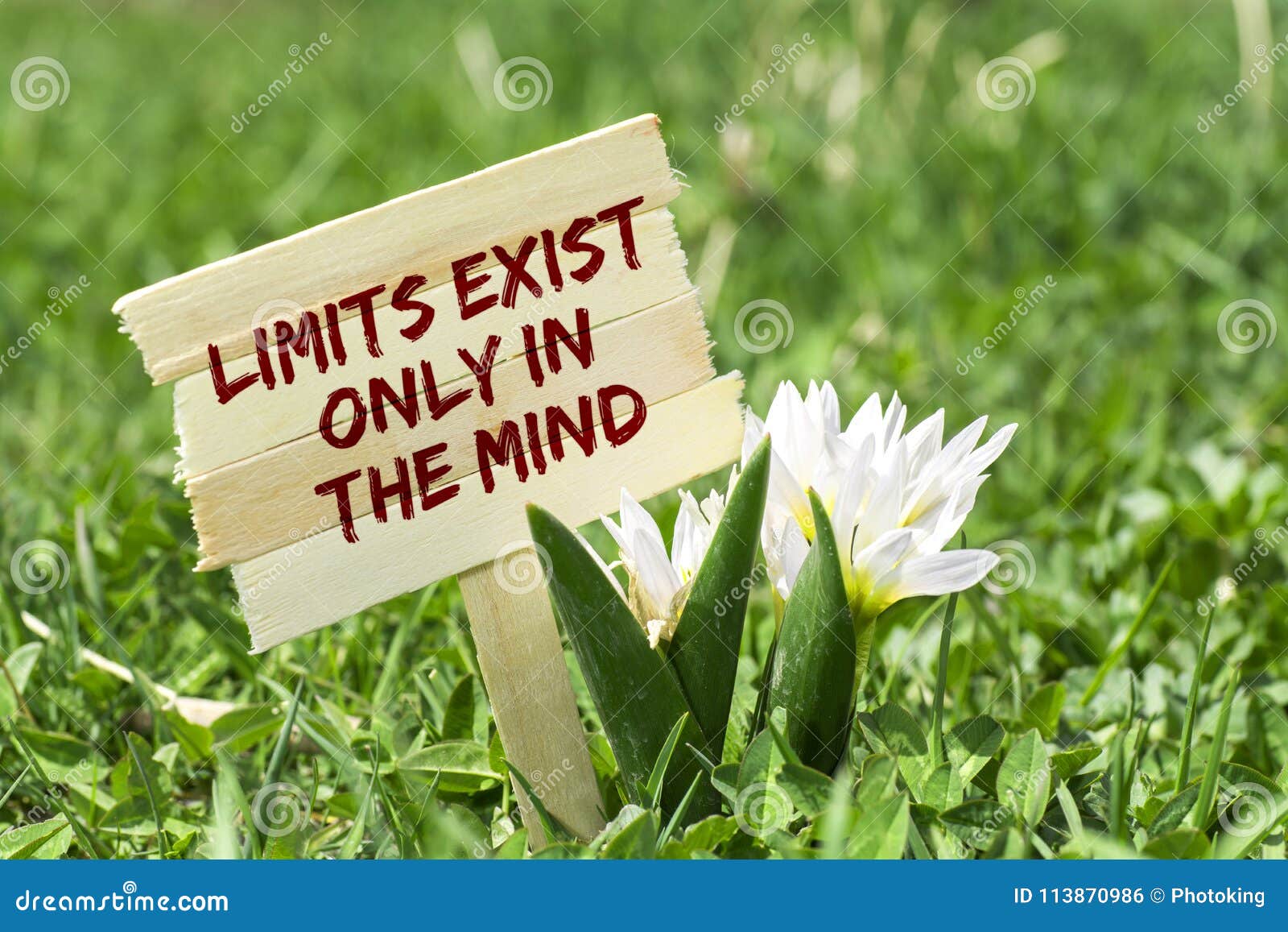 limits exist only in the mind