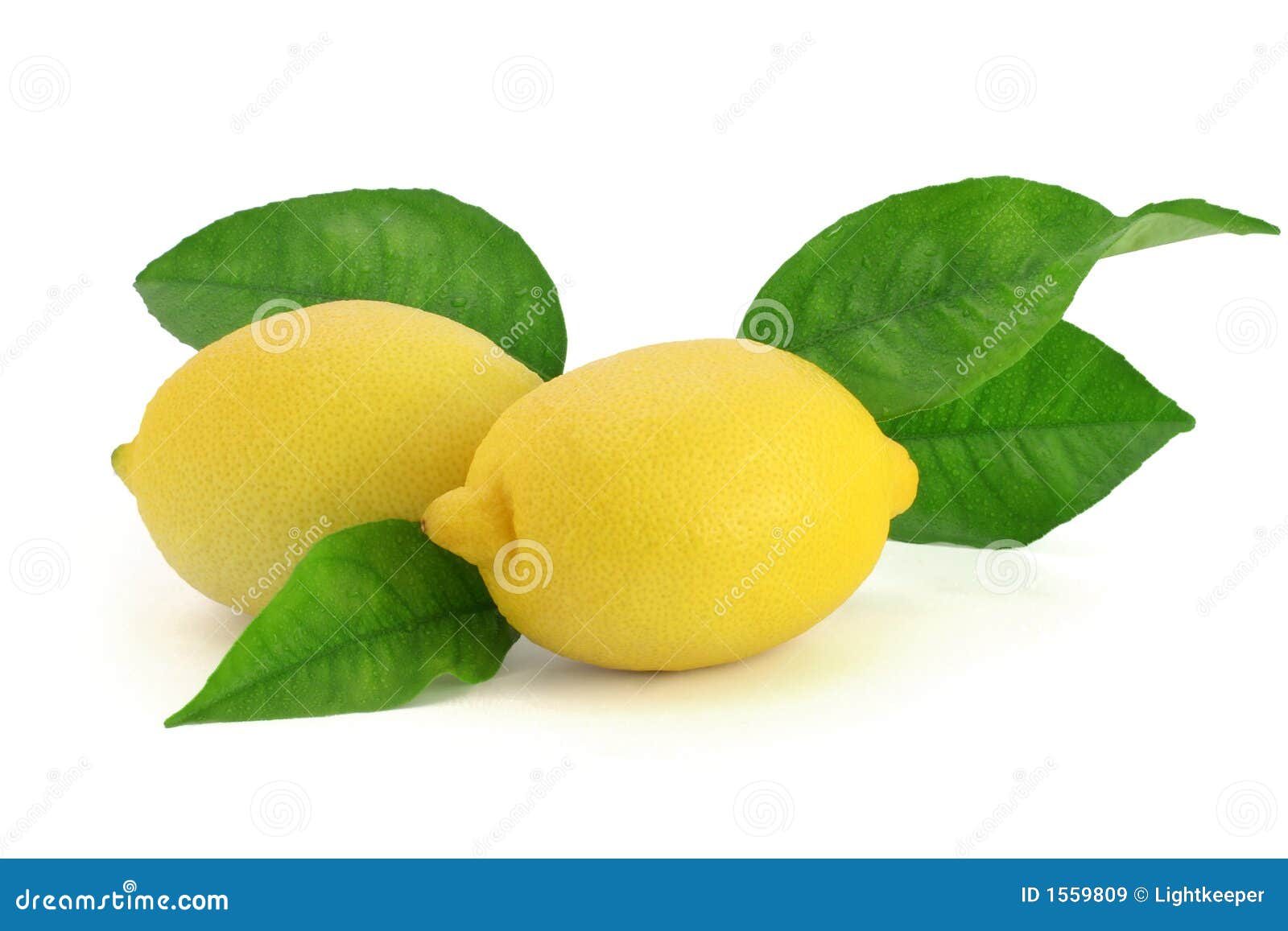 Limoni freschi con i fogli immagine stock. Immagine di squisito - 1559809