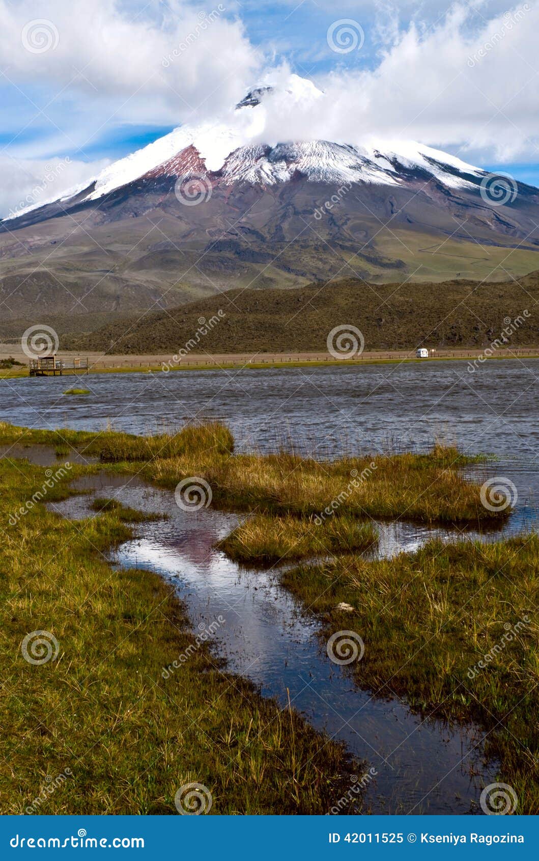 Limpiopungo Lagoon At The Foot Of Cotopaxi Stock Photo - Image: 42011525