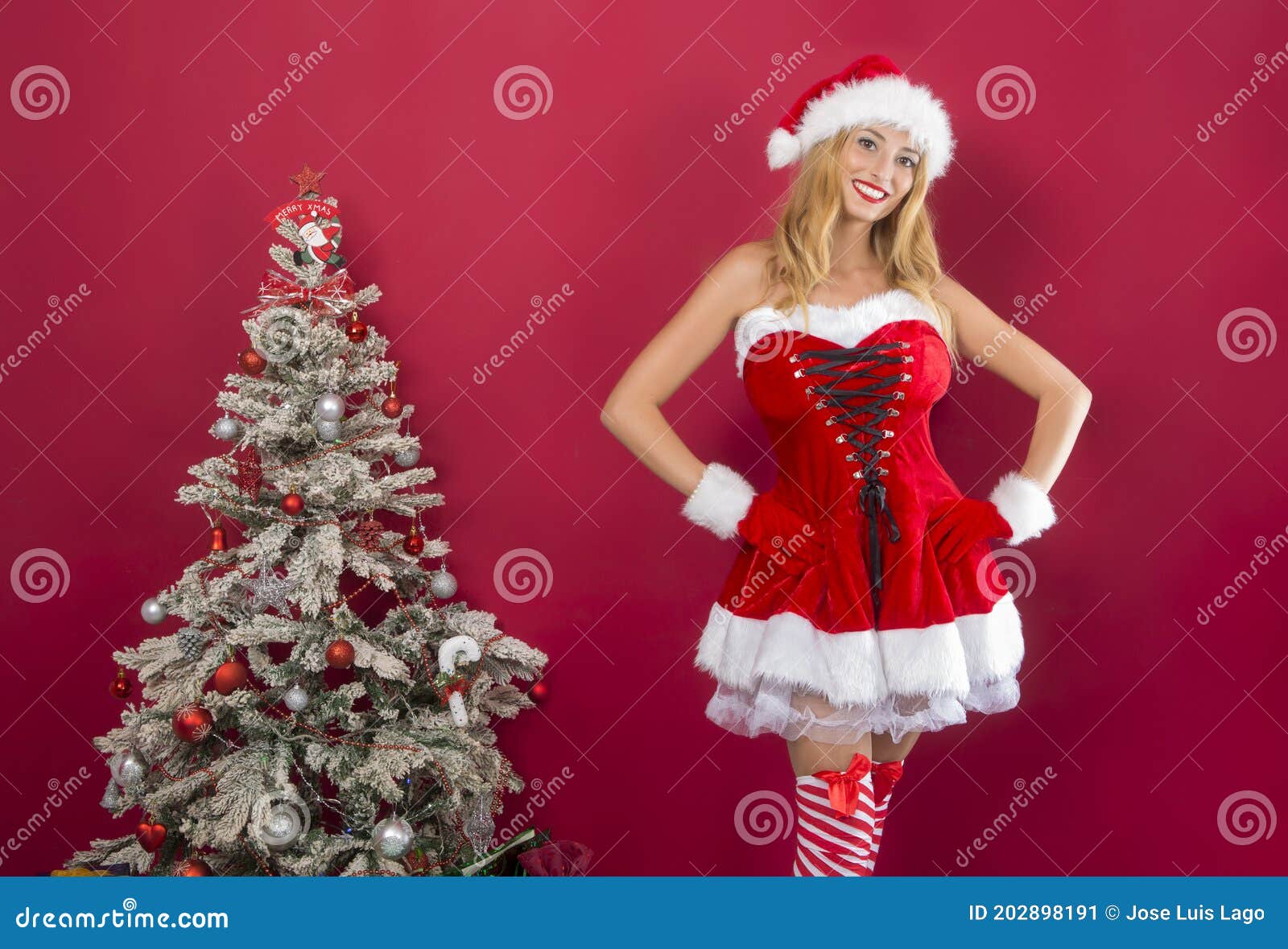 Linda Chica Con El Traje De Santa Claus Al Lado Del árbol De Navidad Imagen de archivo - Imagen de santa, joven: 202898191 Linda Chica Con El Traje De Santa Claus Al Lado Del árbol De Navidad Imagen de archivo - Imagen de santa, joven: 202898191