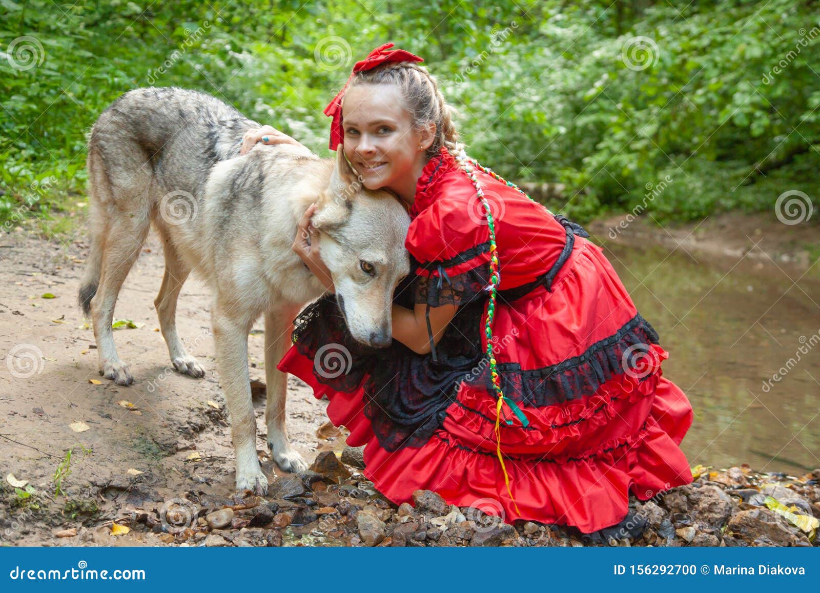 Fundo Lobo De Anime Escuro Sentado Em Uma Floresta Em Uma Capa De