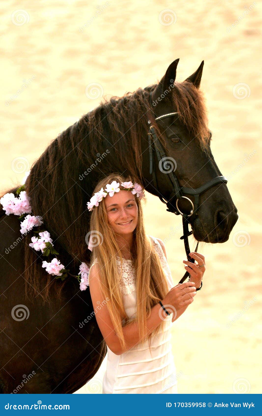 Garota No Capacete Sentada No Cavalo Cinza Atrás E Pulando Sobre