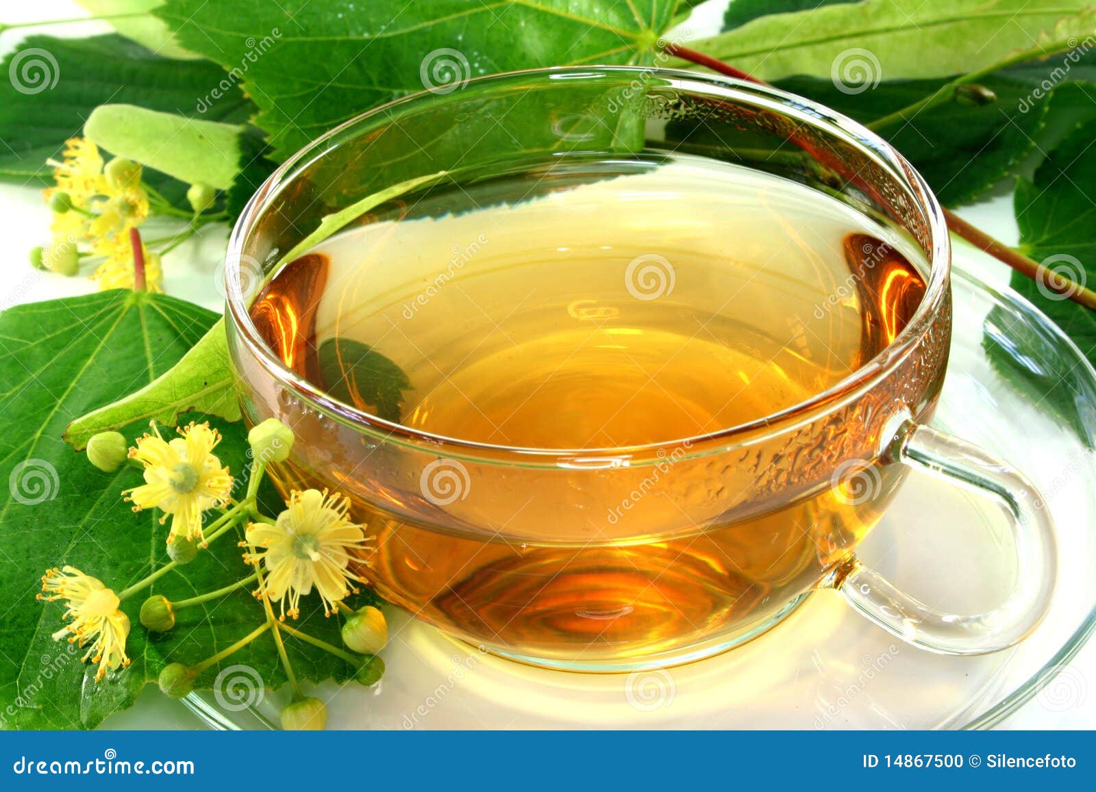 Linden flower tea stock photo. Image of disorders, relaxing 14867500