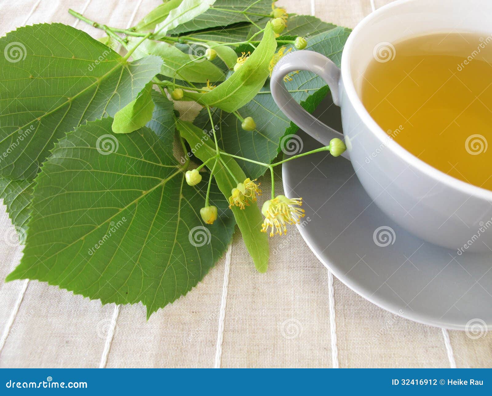 Linden flowers tea stock photo. Image of tilia, blossoms 32416912