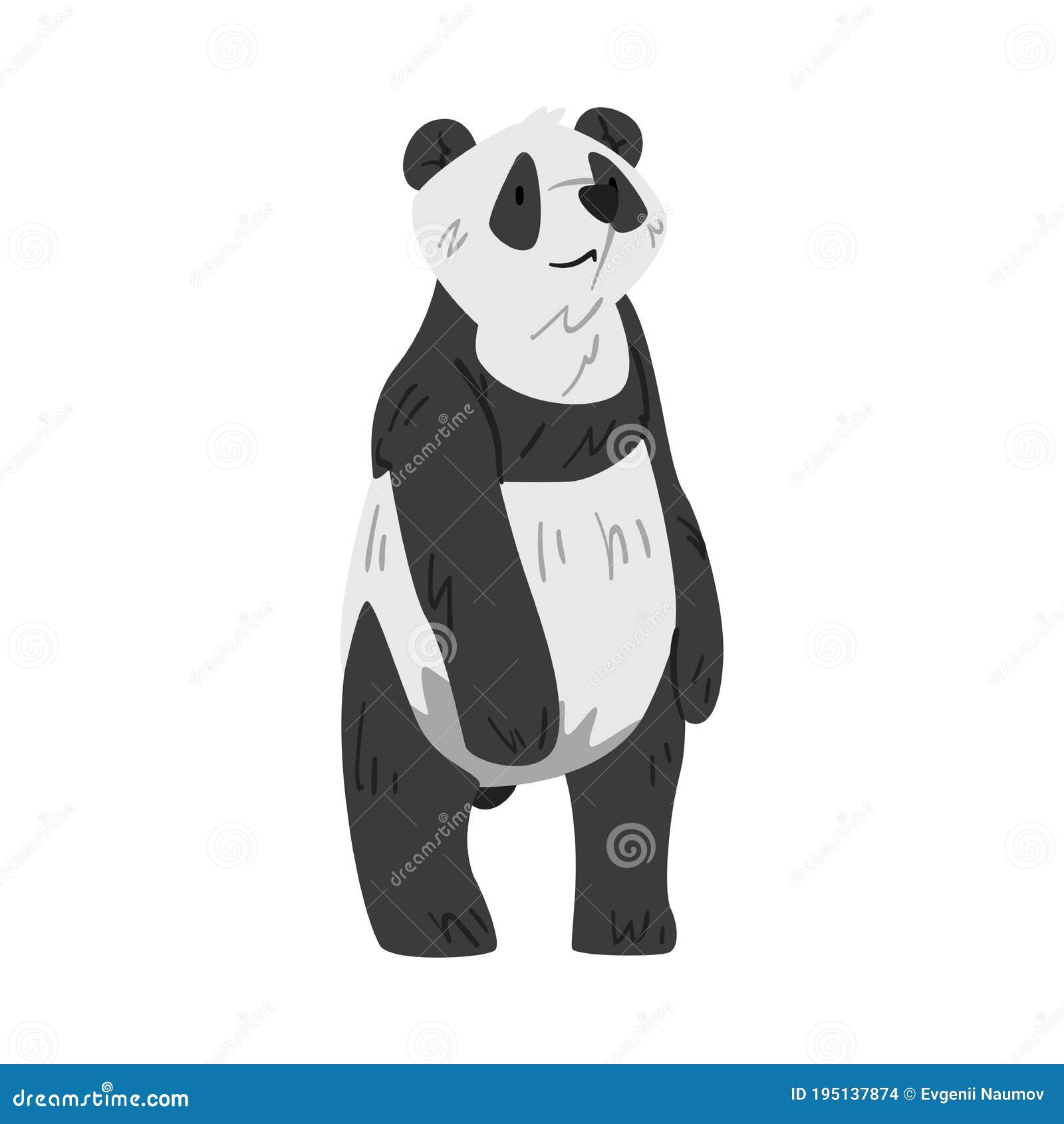 Lindo Oso Panda De Pie Divertido Estilo De Dibujos Animados Animales  Salvajes Ilustración Vectorial Sobre Fondo Blanco Ilustración del Vector -  Ilustración de blanco, animal: 195137874