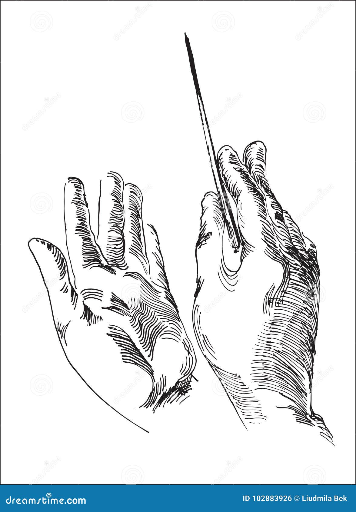 human hand holding conductor`s baton