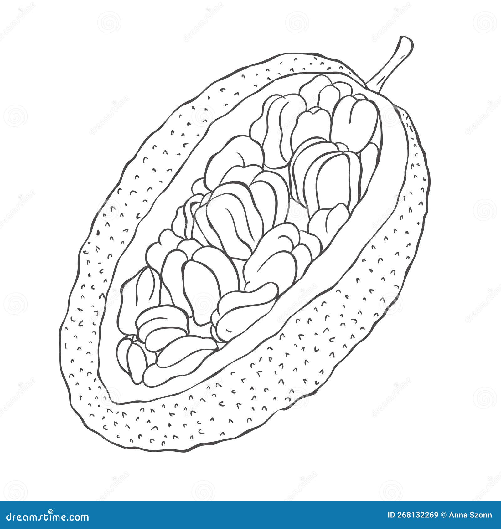 Line Art Jackfruit. Vector Illustration Stock Illustration
