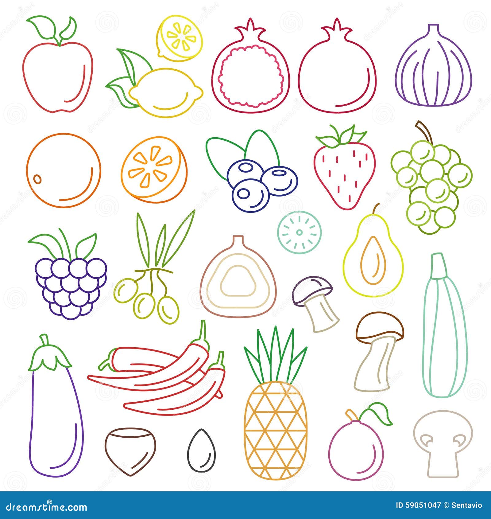 line art  graphical fancy food set of fruit and vegetable