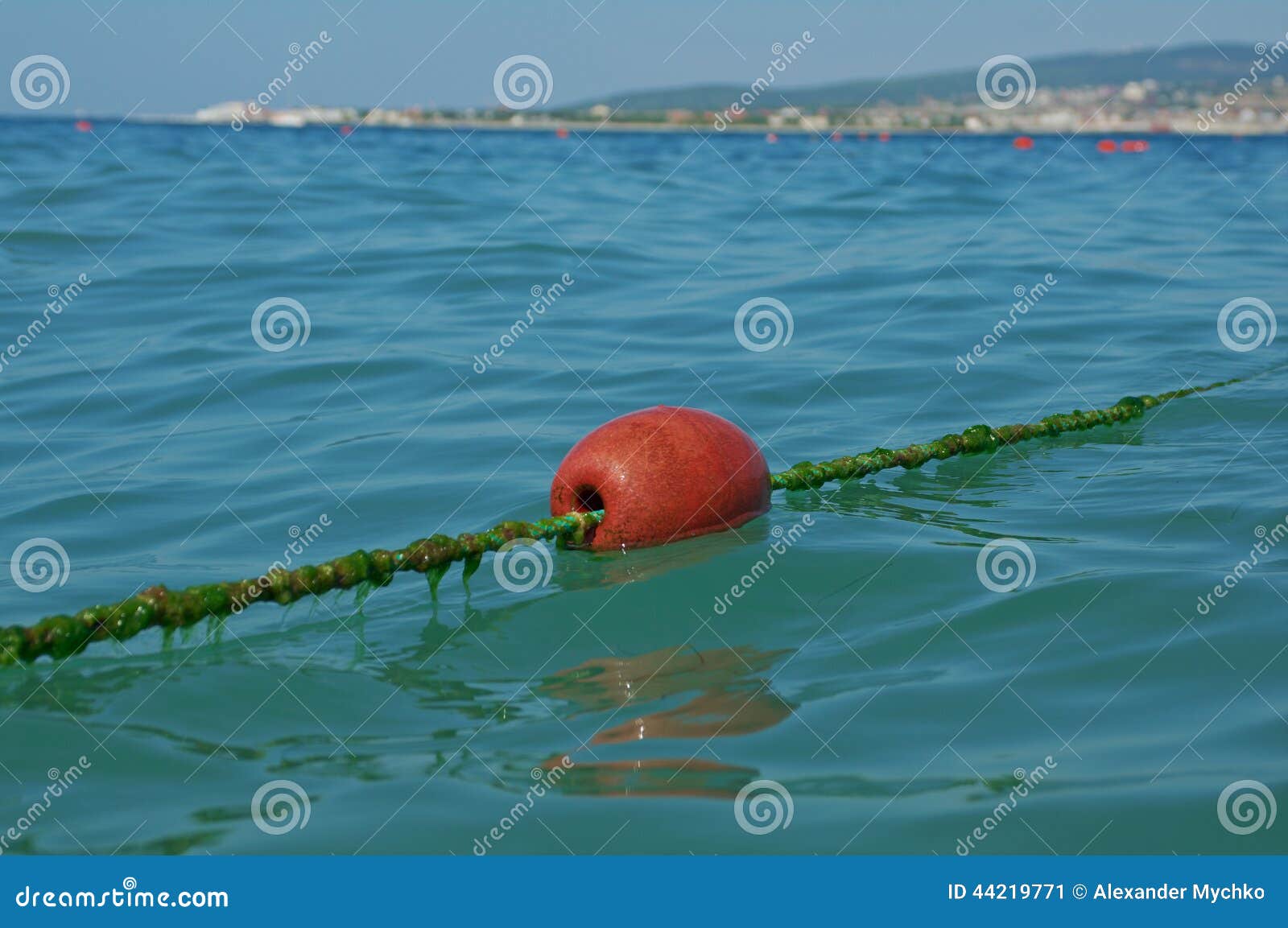 море буйки