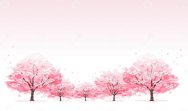 Line of Cherry Blossom Tree Background Stock Illustration ...
