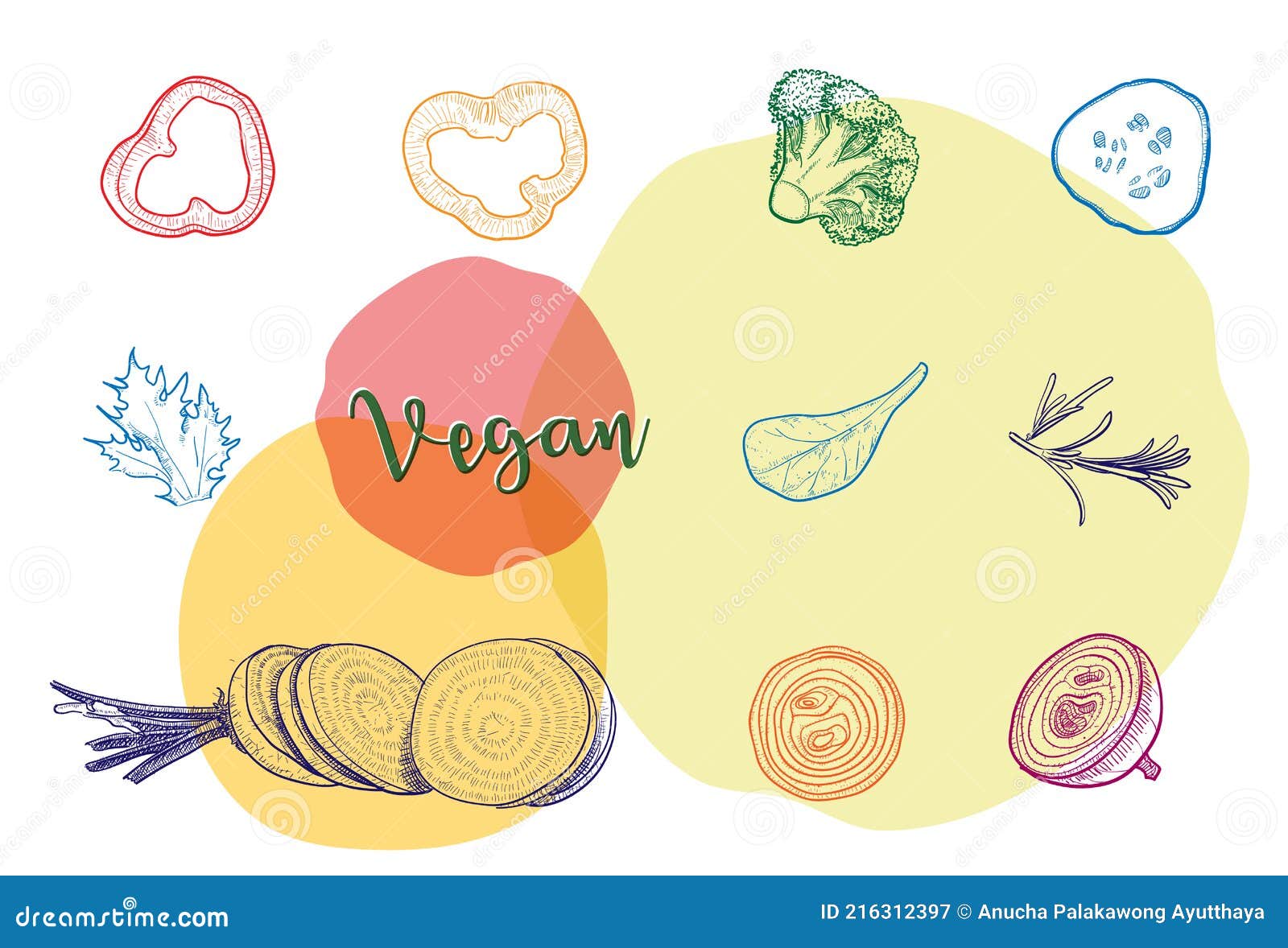 Line Drawing of Each Vegetable, Cut into Pieces Stock Vector