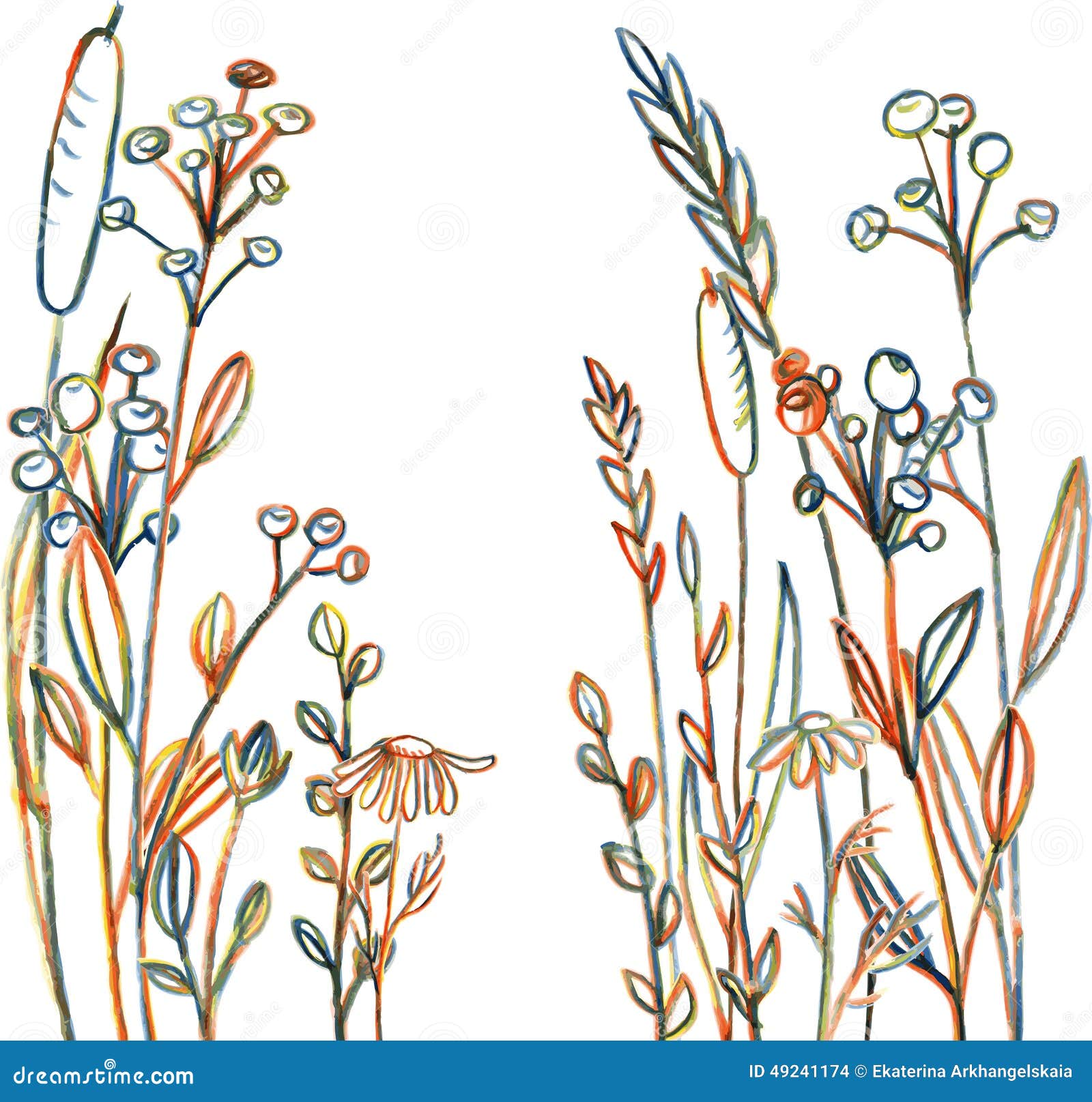 Line Drawing Flowers and Grass Stock Vector Illustration of decoration, botanical 49241174
