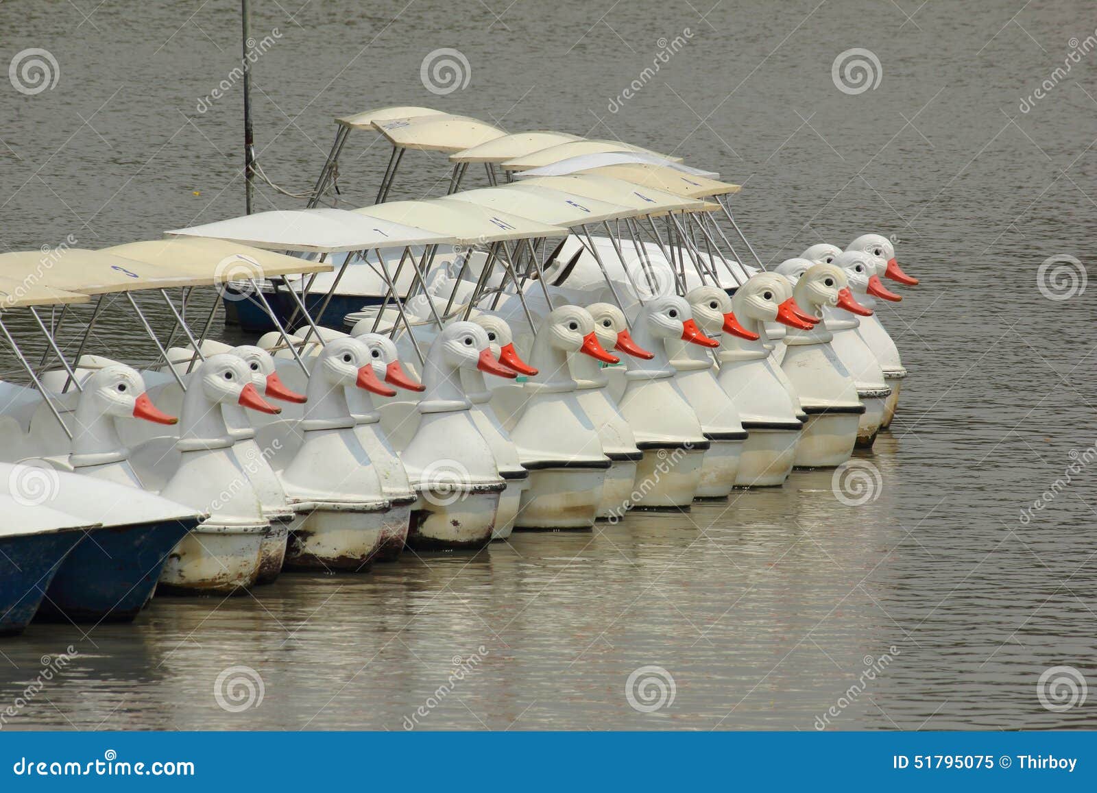 The Line of Duck Pedal Boat Stock Image Image of fibre, dock 51795075
