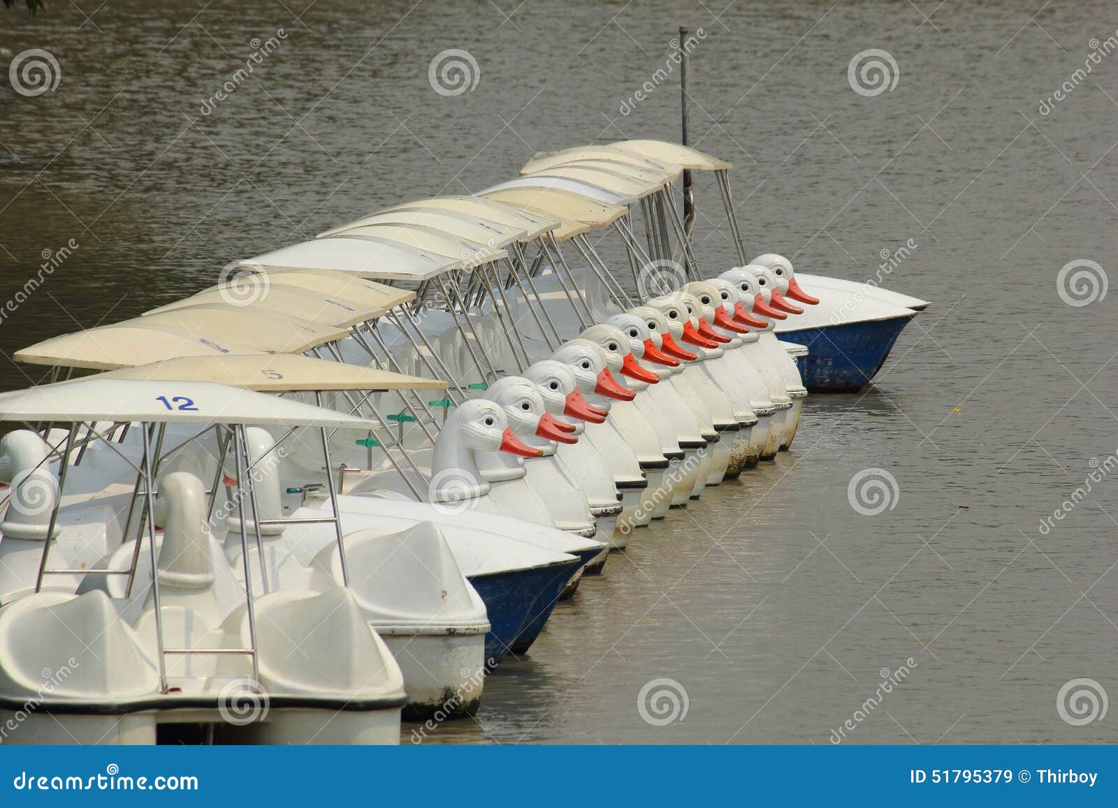 The Line of Duck Pedal Boat Stock Image Image of tourism, pedal 51795379
