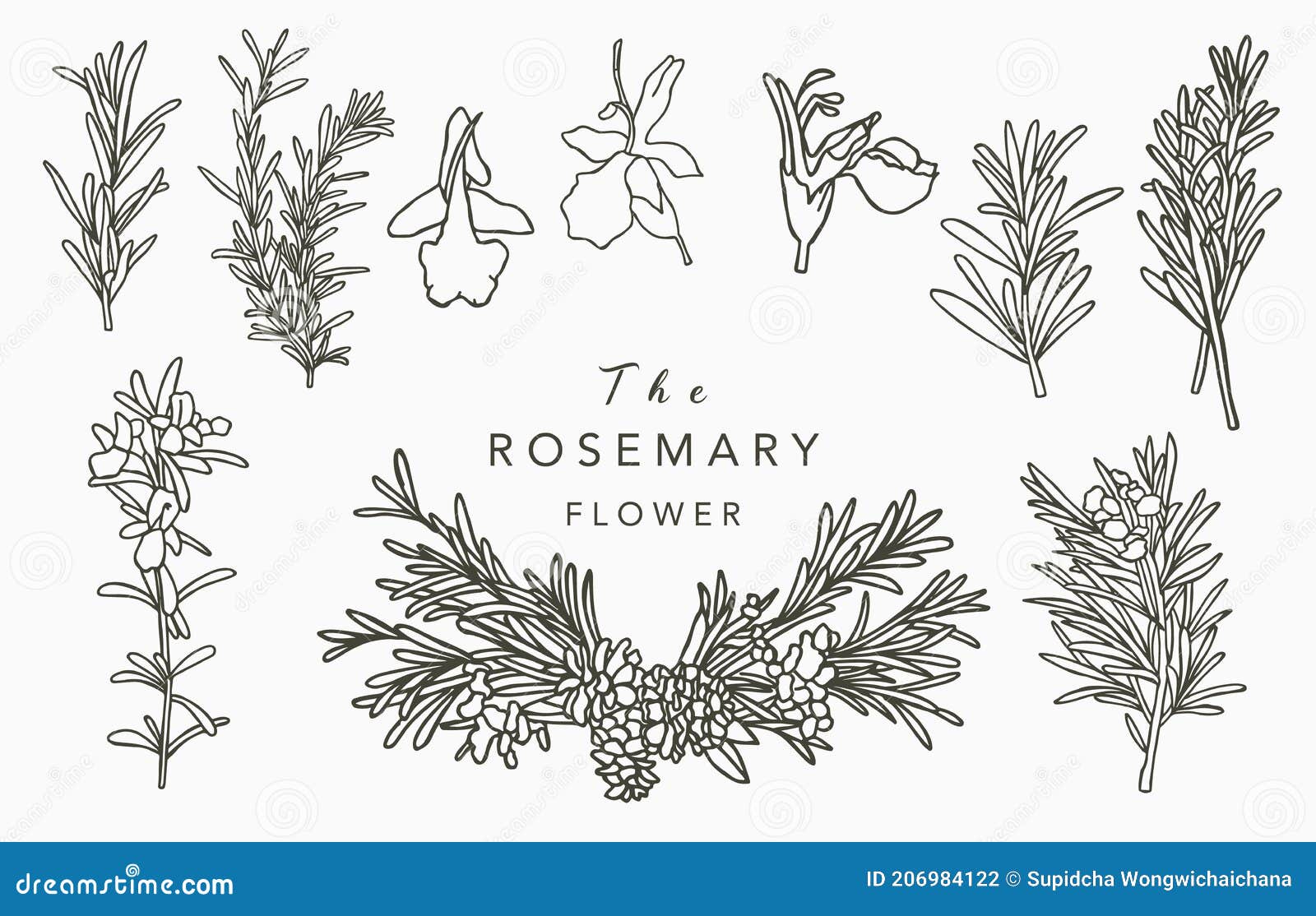 Rosemary Tattoo Name | TikTok