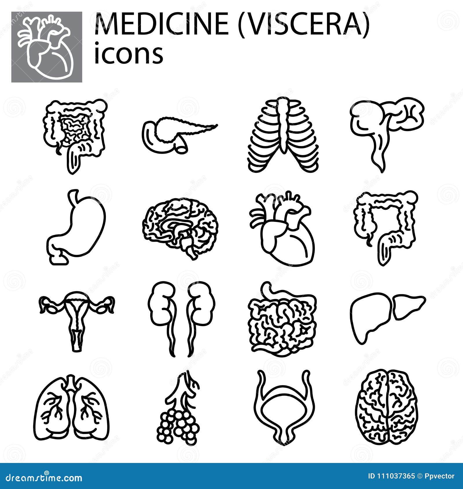 line set. medicine, viscera