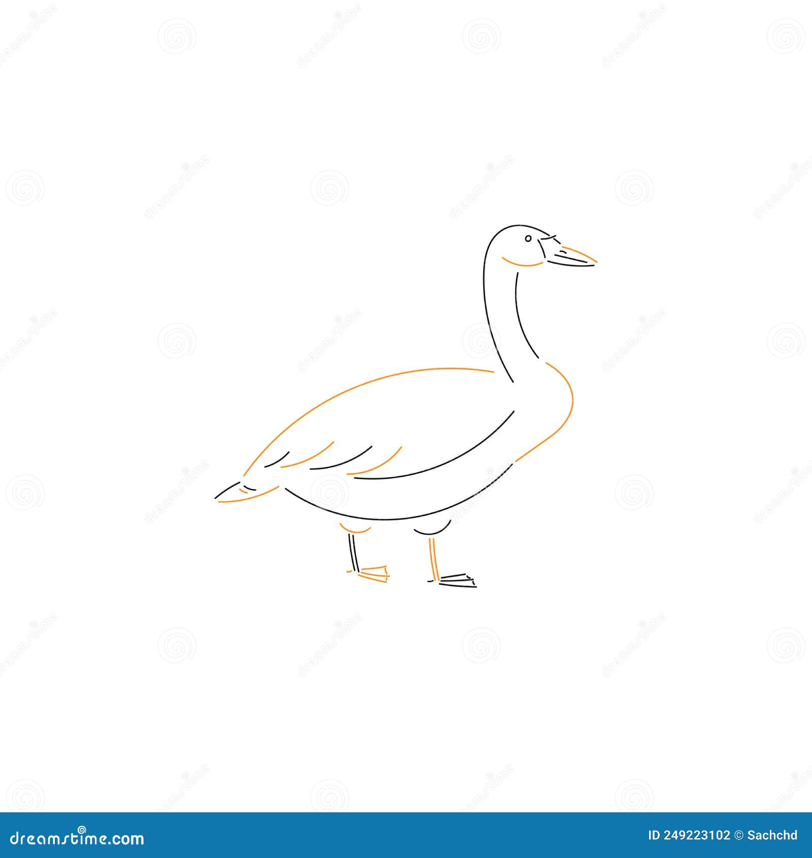 bird swan simpl sketch  