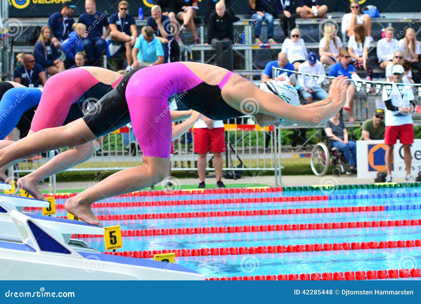 Swimming Pool Launch Pad Water Stock Photos - Free & Royalty-Free Stock  Photos from Dreamstime