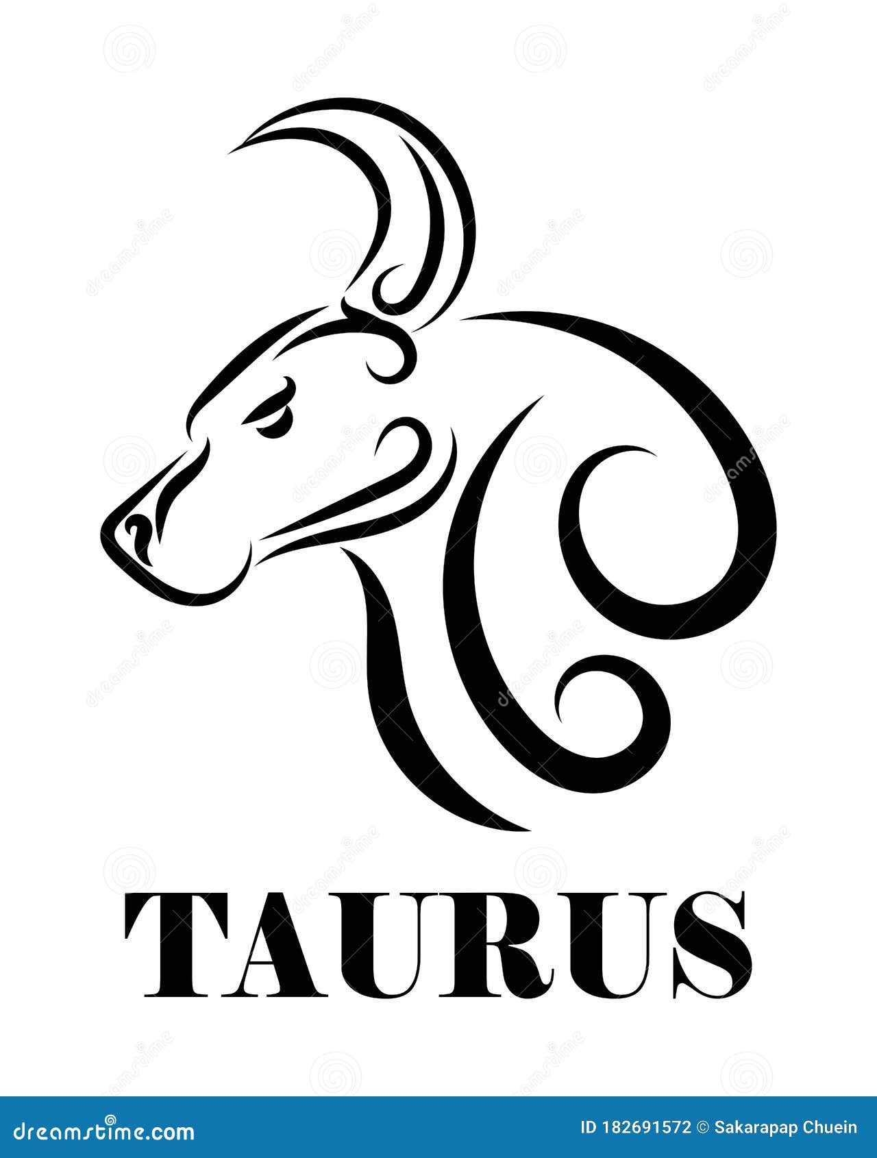 Taurus Zodiac Line Art Vector Eps 10 Stock Vector - Illustration of