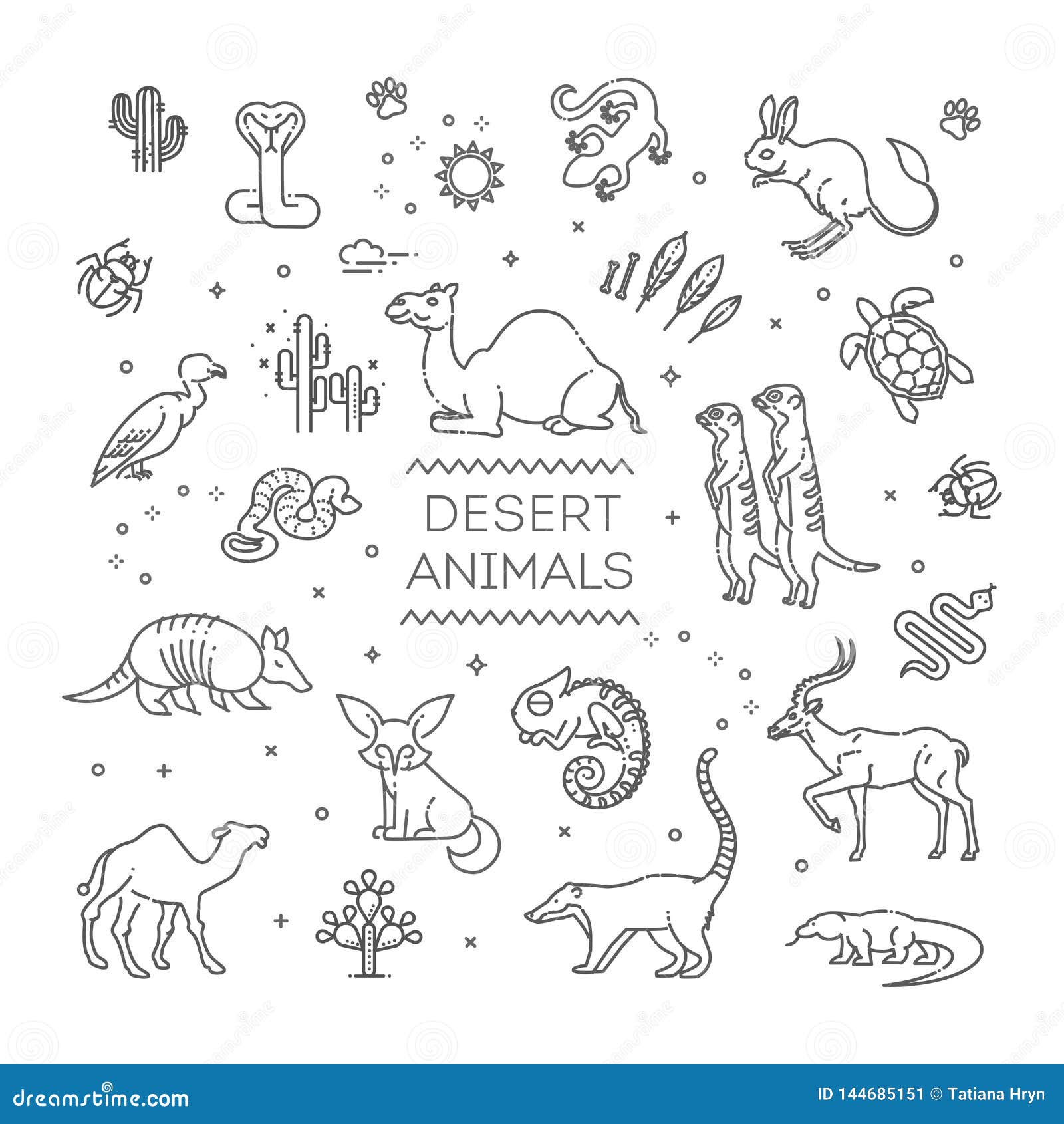 Forest Animals: Discover your inner artist as you learn to draw majestic  wildlife in graphite (Drawing Made Easy) : Aaseng, Maury: Amazon.in: Office  Products