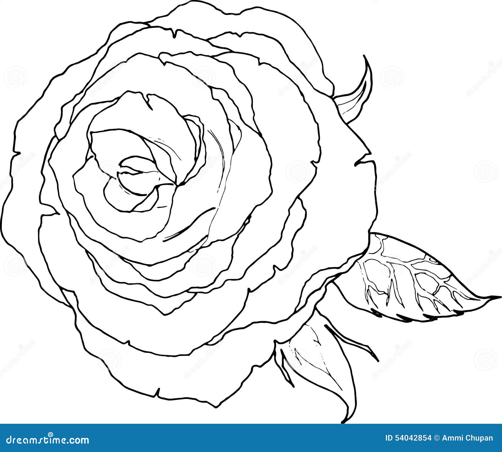 Linea disegno di arte di un colore in bianco e nero del fiore della rosa