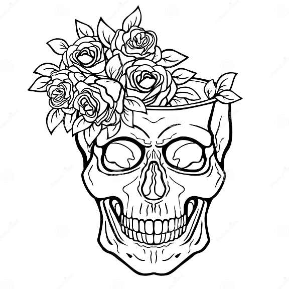 Linear Drawing: Human Skull - Flower Vase. Stock Vector - Illustration ...