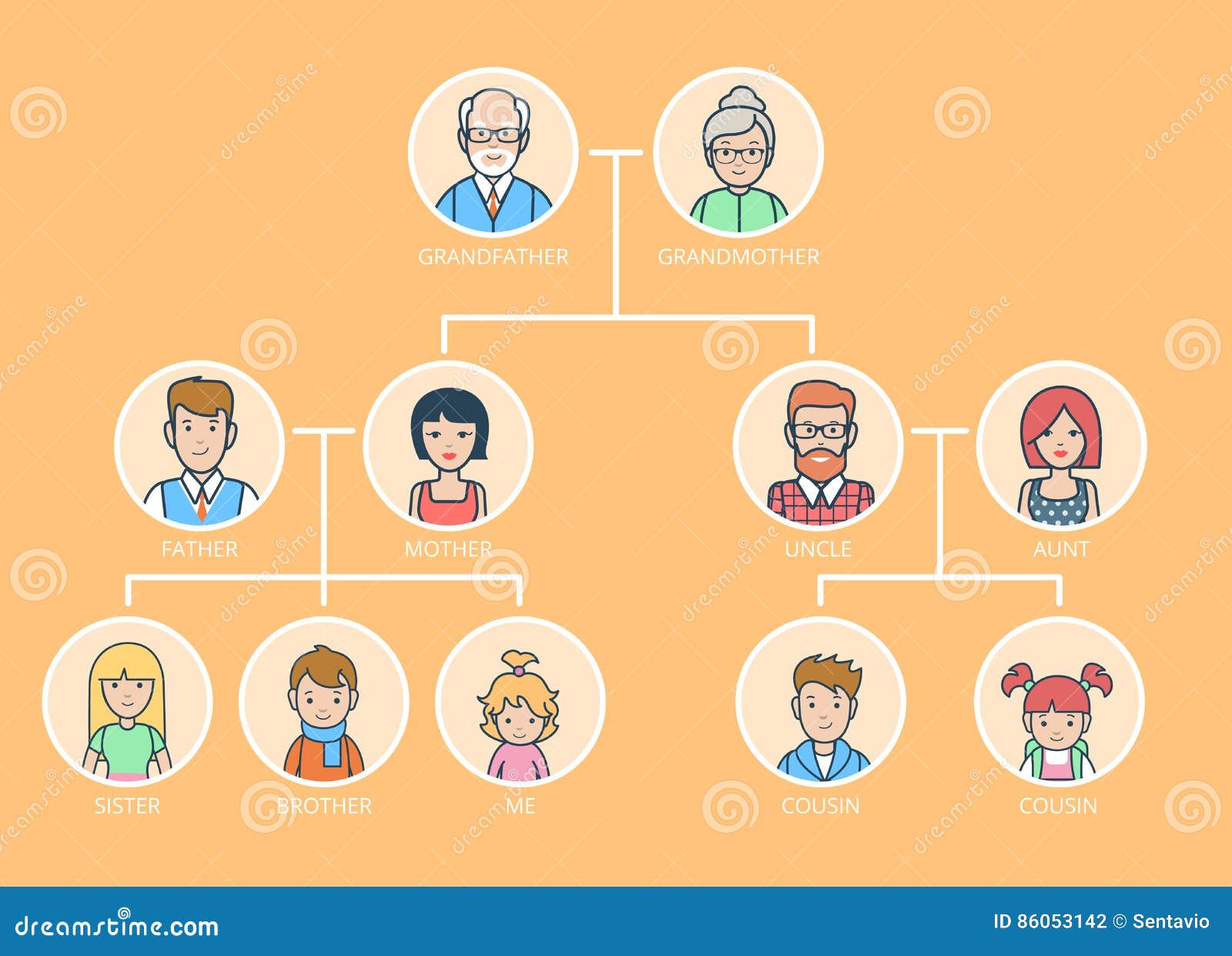 linear flat genealogy. family tree parents, childr