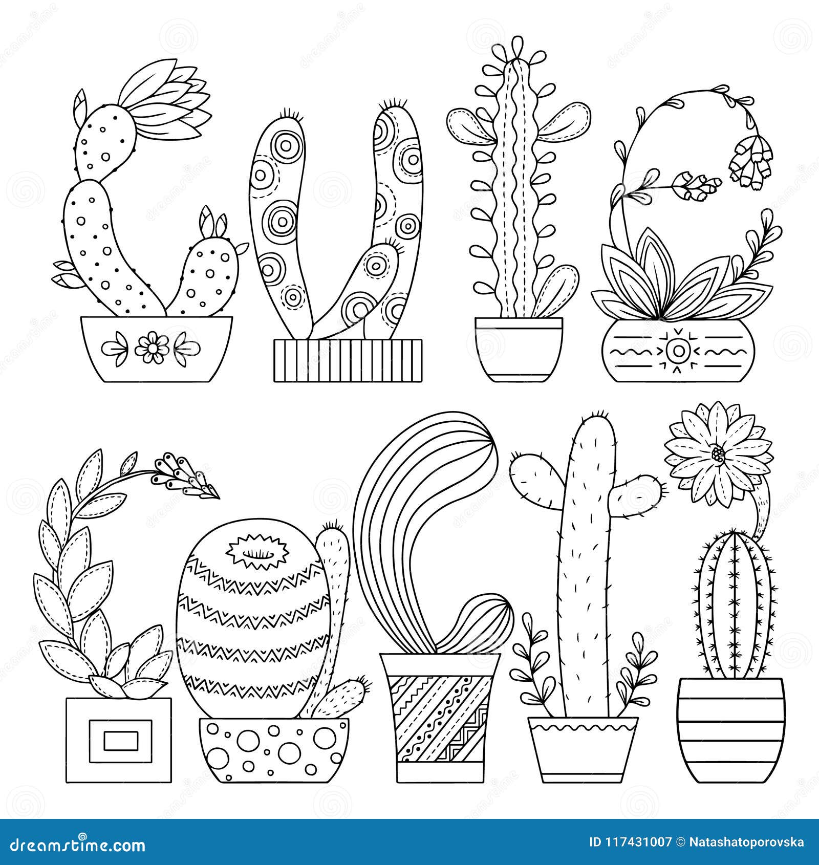 cactus coloring vector linear scribble contour background cute fo adults floral painting illustration